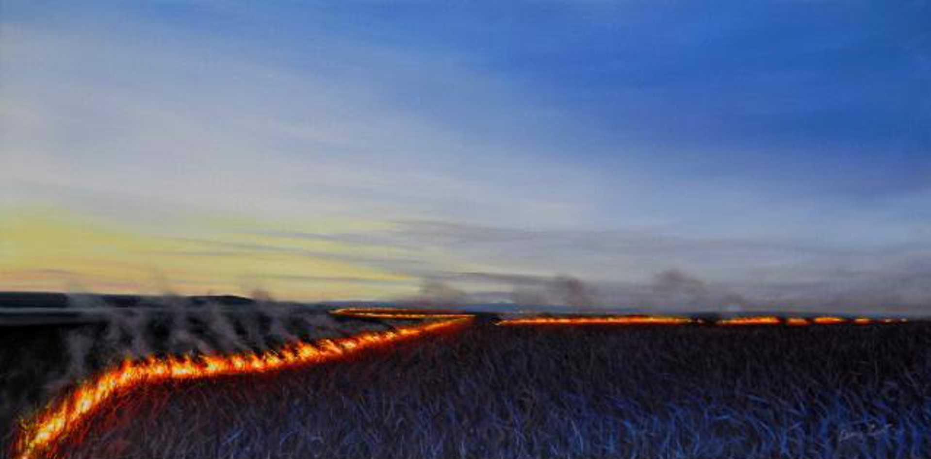 Line of Fire by Louis Copt