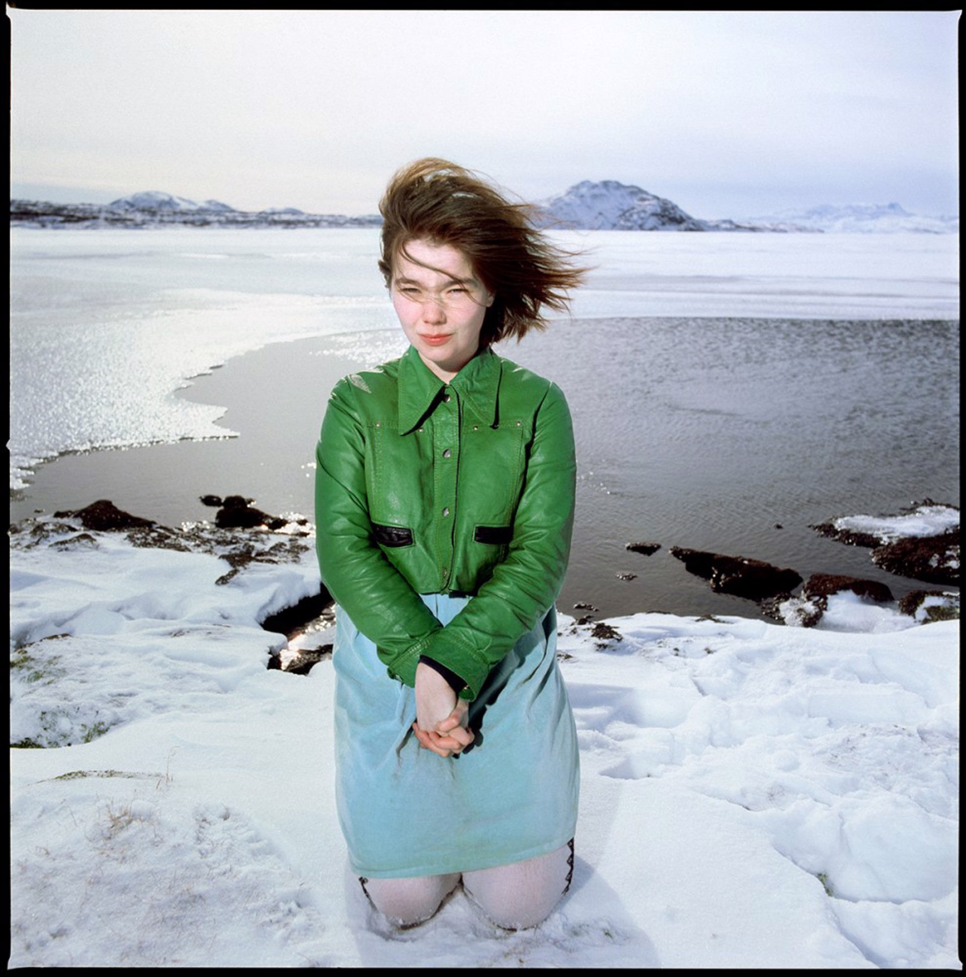 88045 Bjork Iceland color by Timothy White