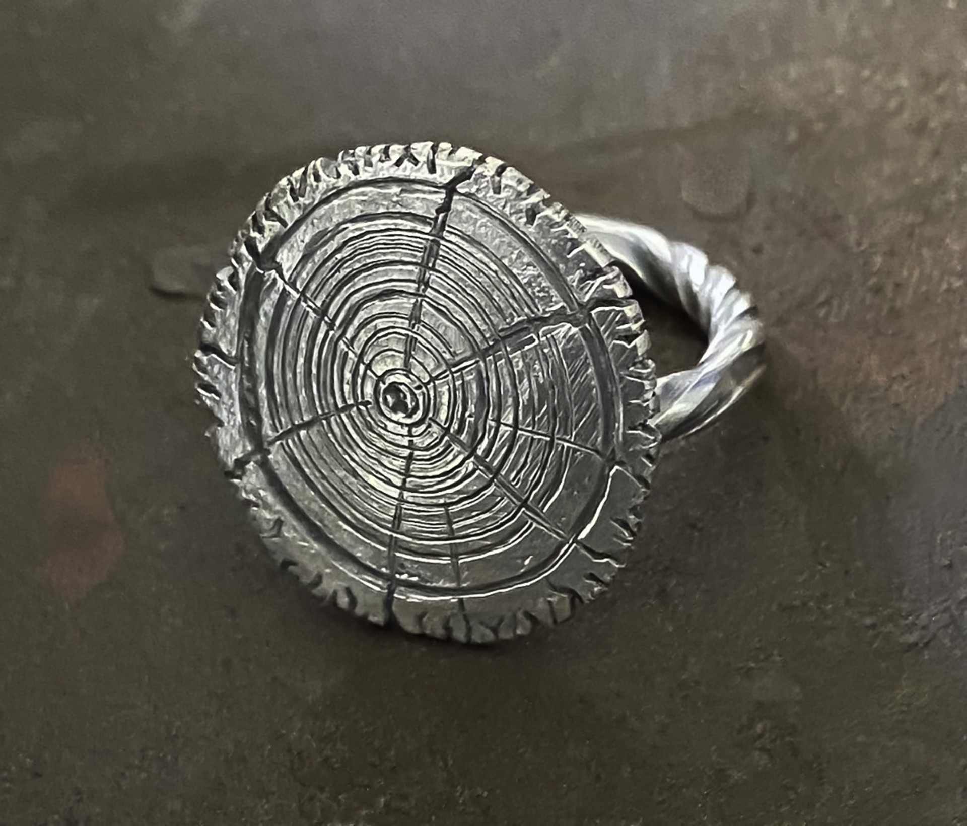 Wood Slice Ring, size 8 by Beth Lonsinger