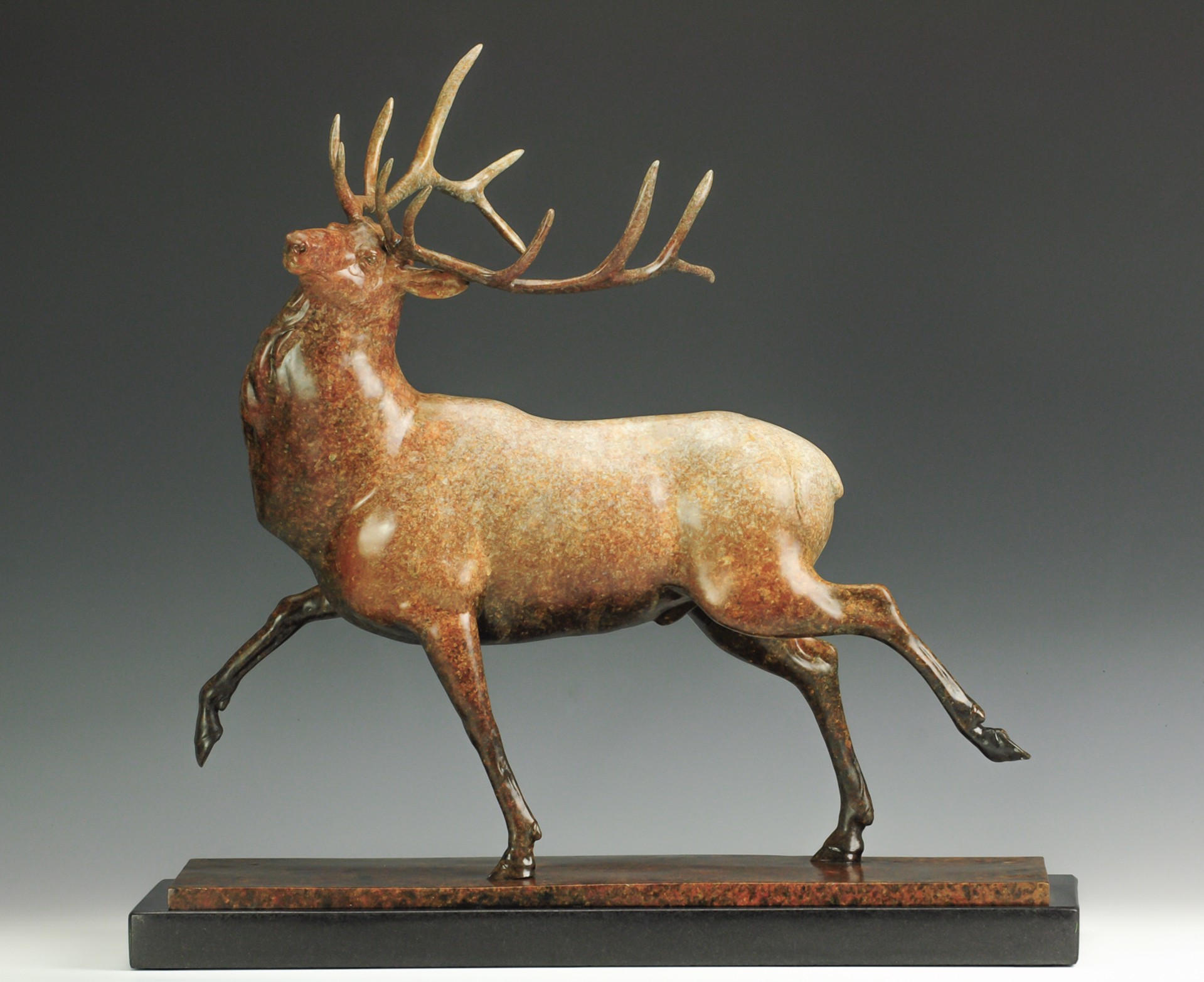A Fine Art Sculpture In Bronze By Jeremy Bradshaw Featuring An Elk, Available At Gallery Wild