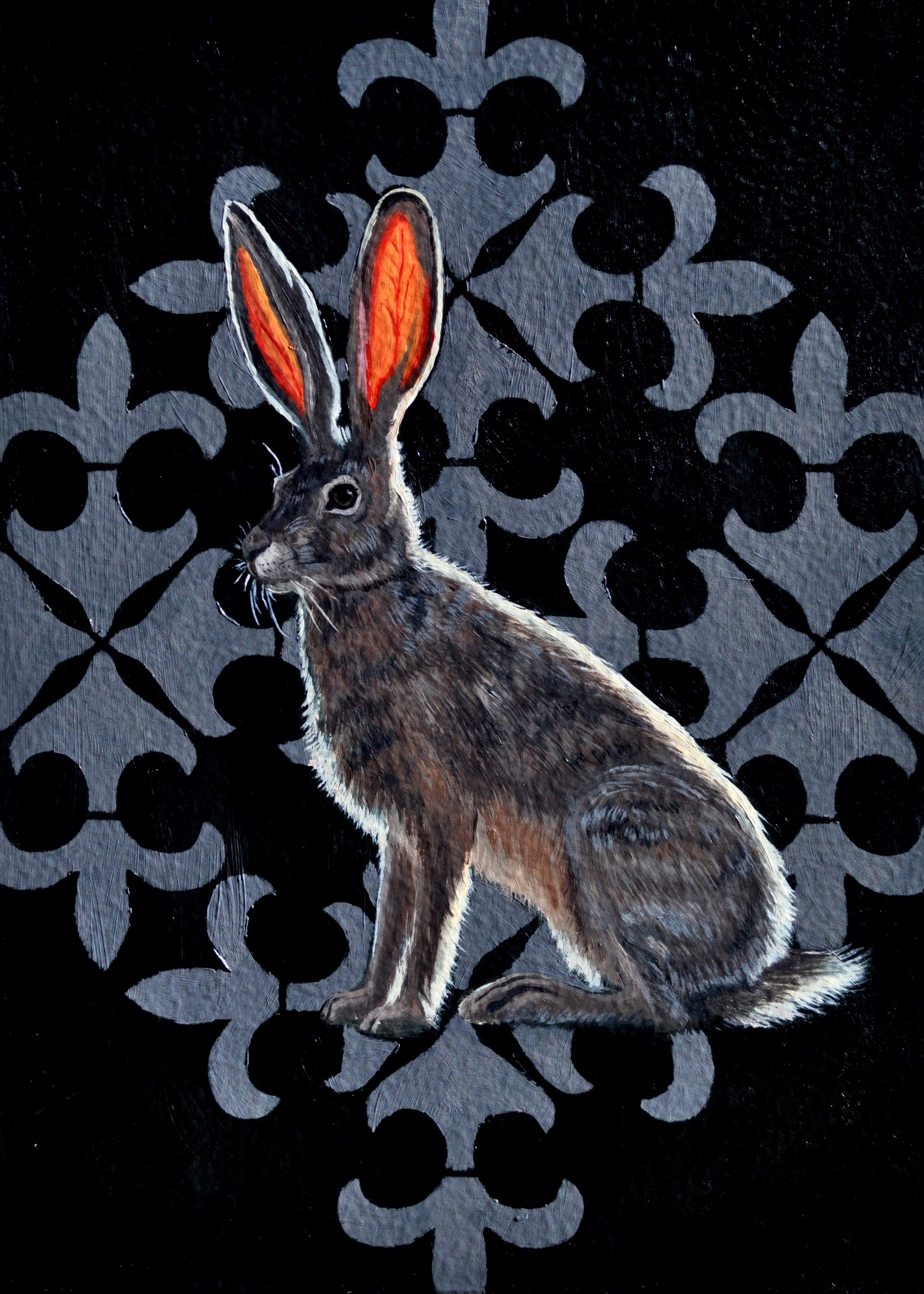 Backlit Jack Rabbit by Robin Hextrum
