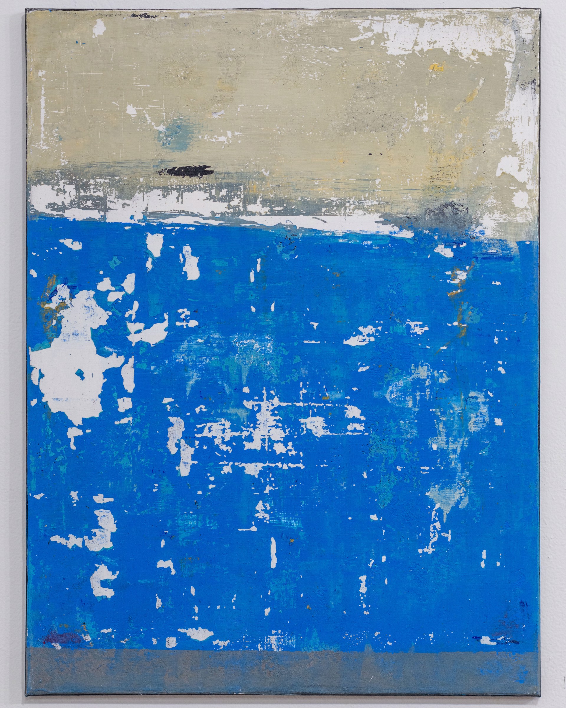 Sea, Land, & Blue by Shawnequa Linder