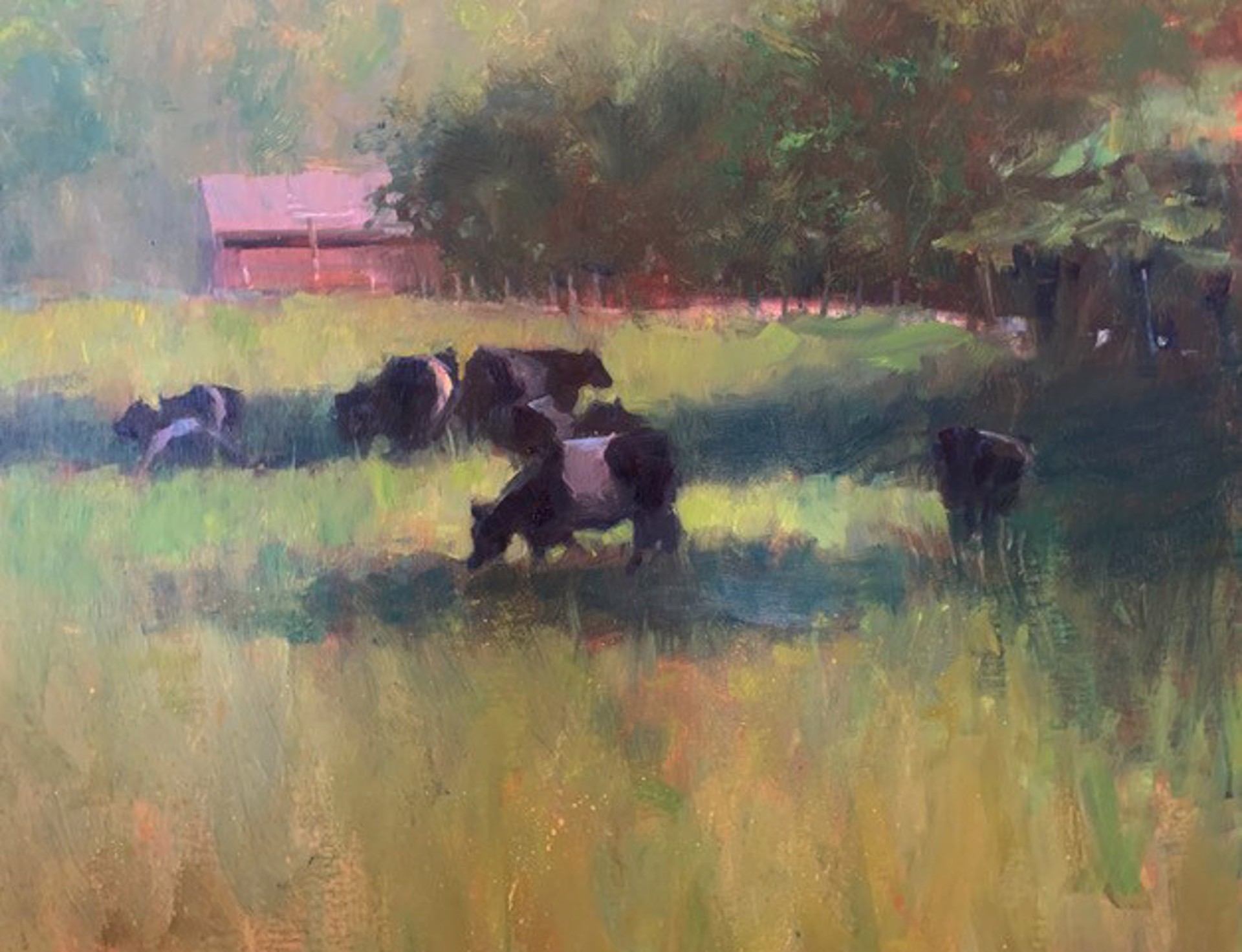 Banded Galloways on a Georgia Summer Afternoon by Margaret Dyer