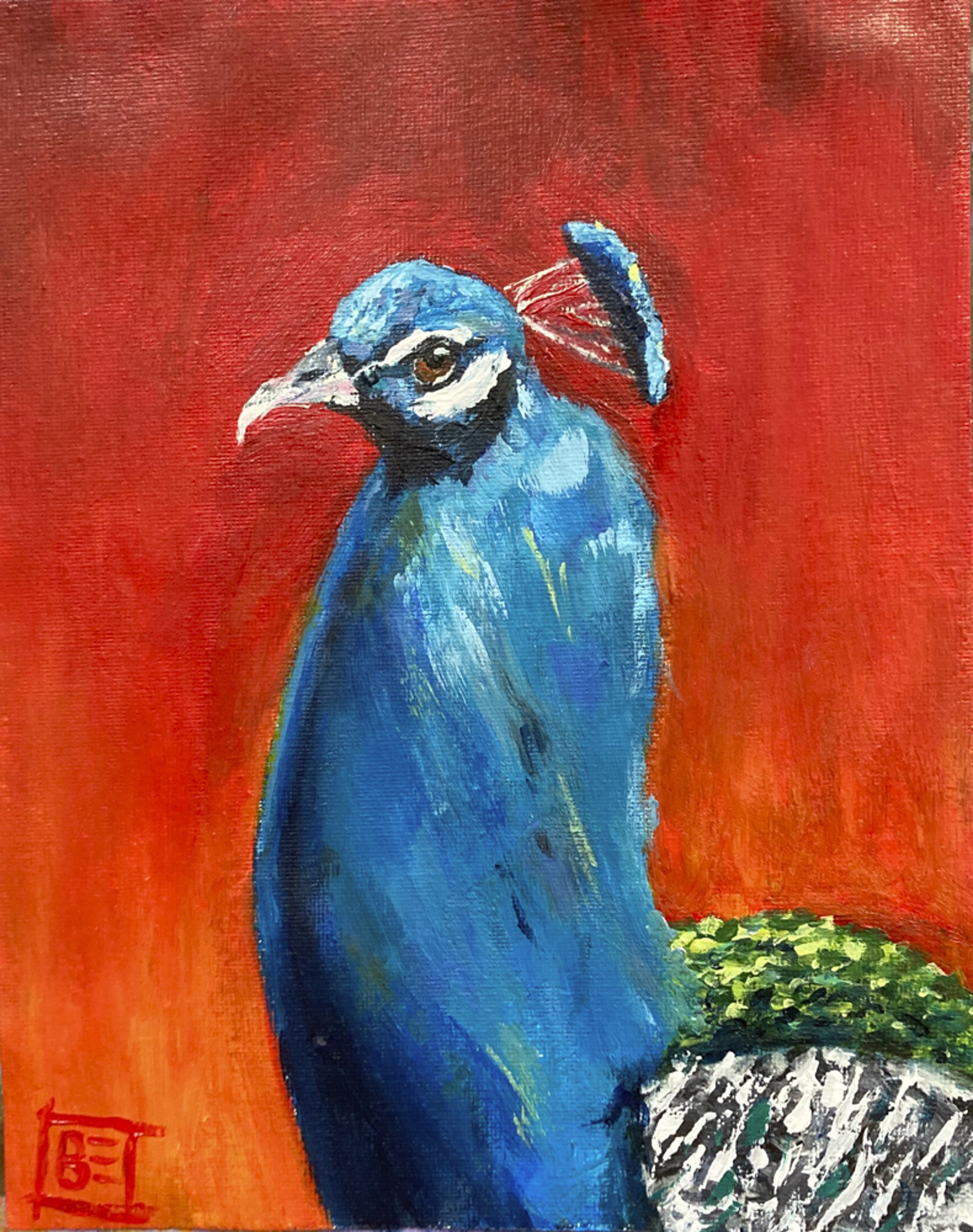 Peacock by Bridget Elyse