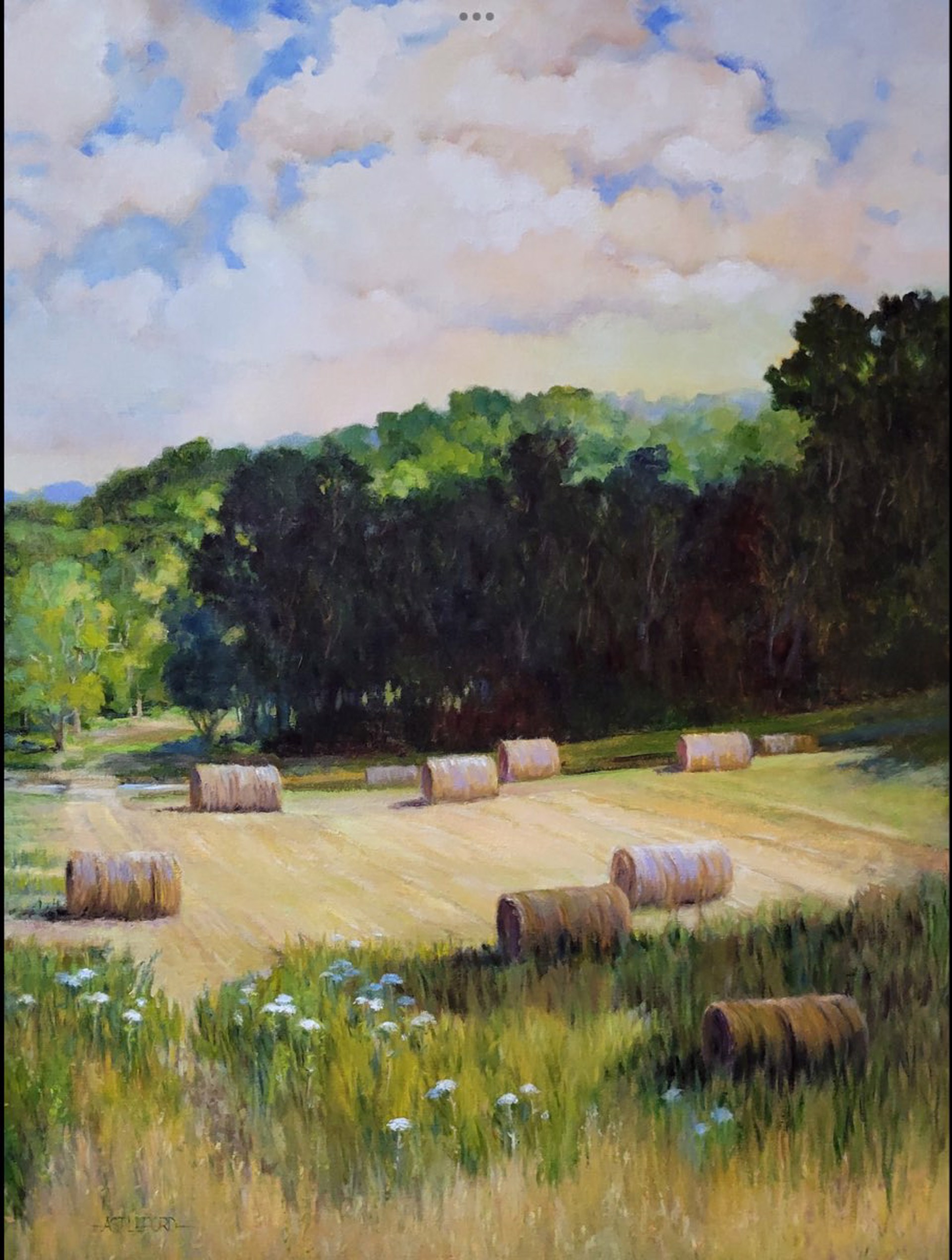 Hay Bales by Susan Astleford