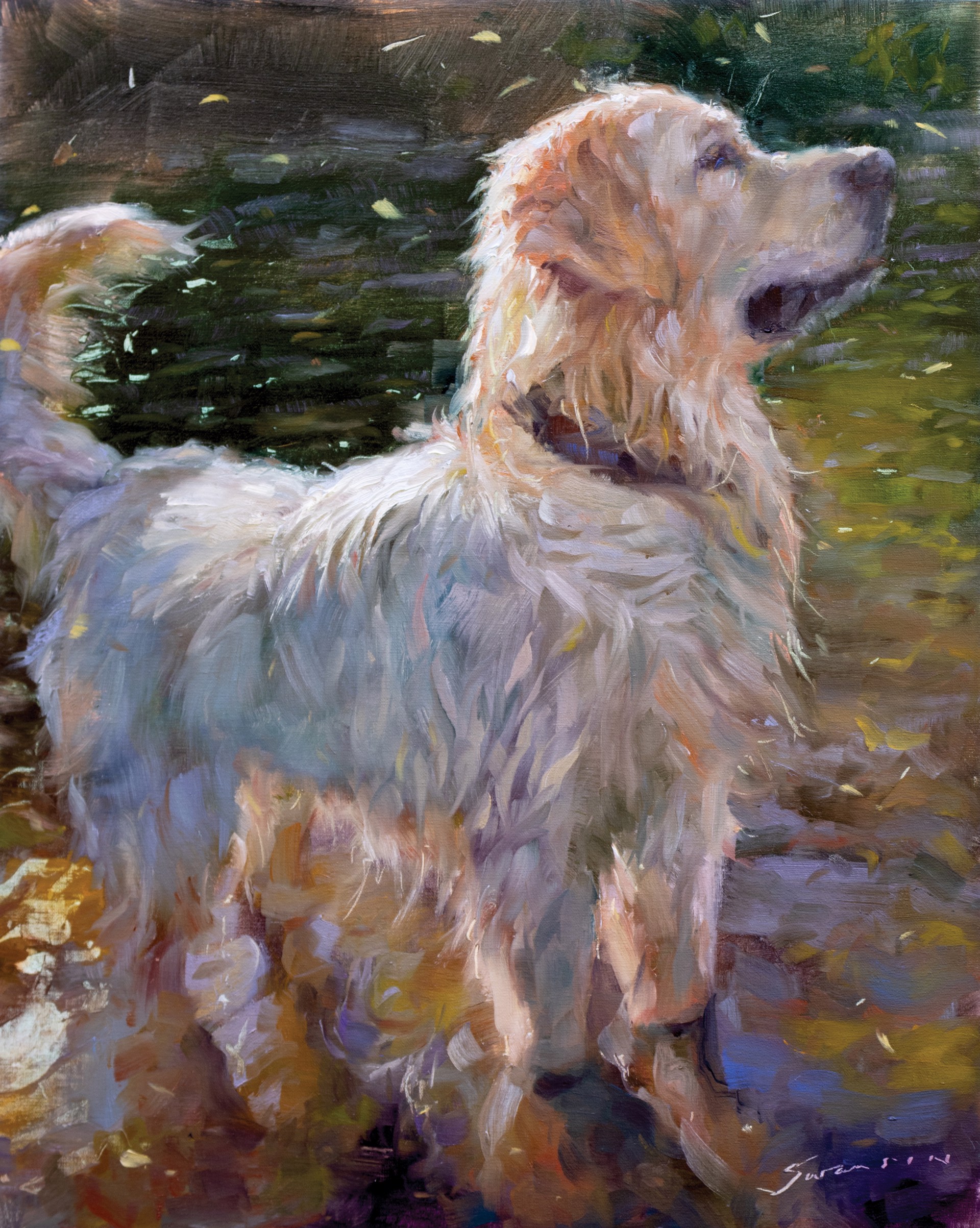 Wet White Dog by James Swanson