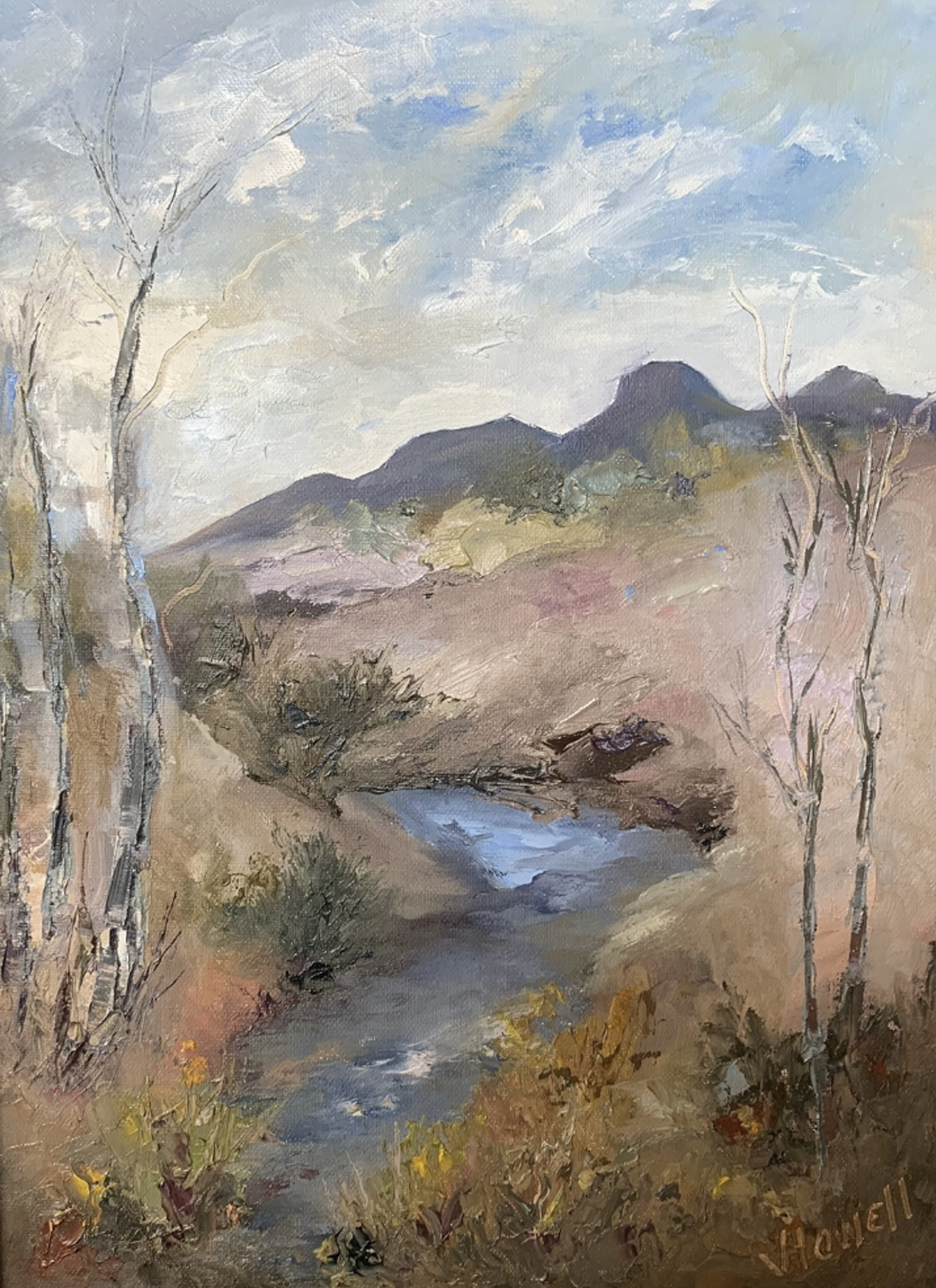 BACKCOUNTRY BLUES by Virginia Howell