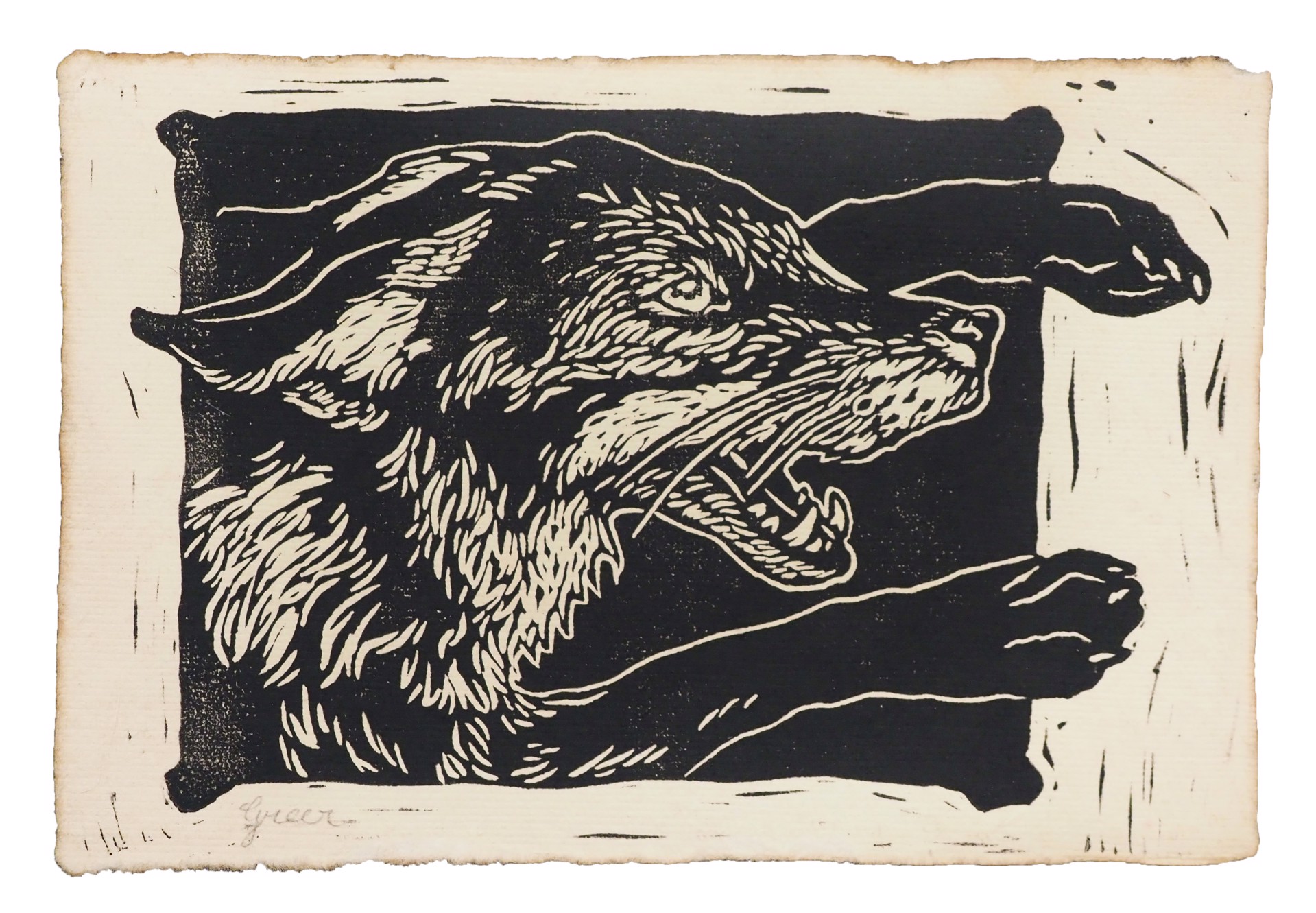 Wolf by Greer Wilkins
