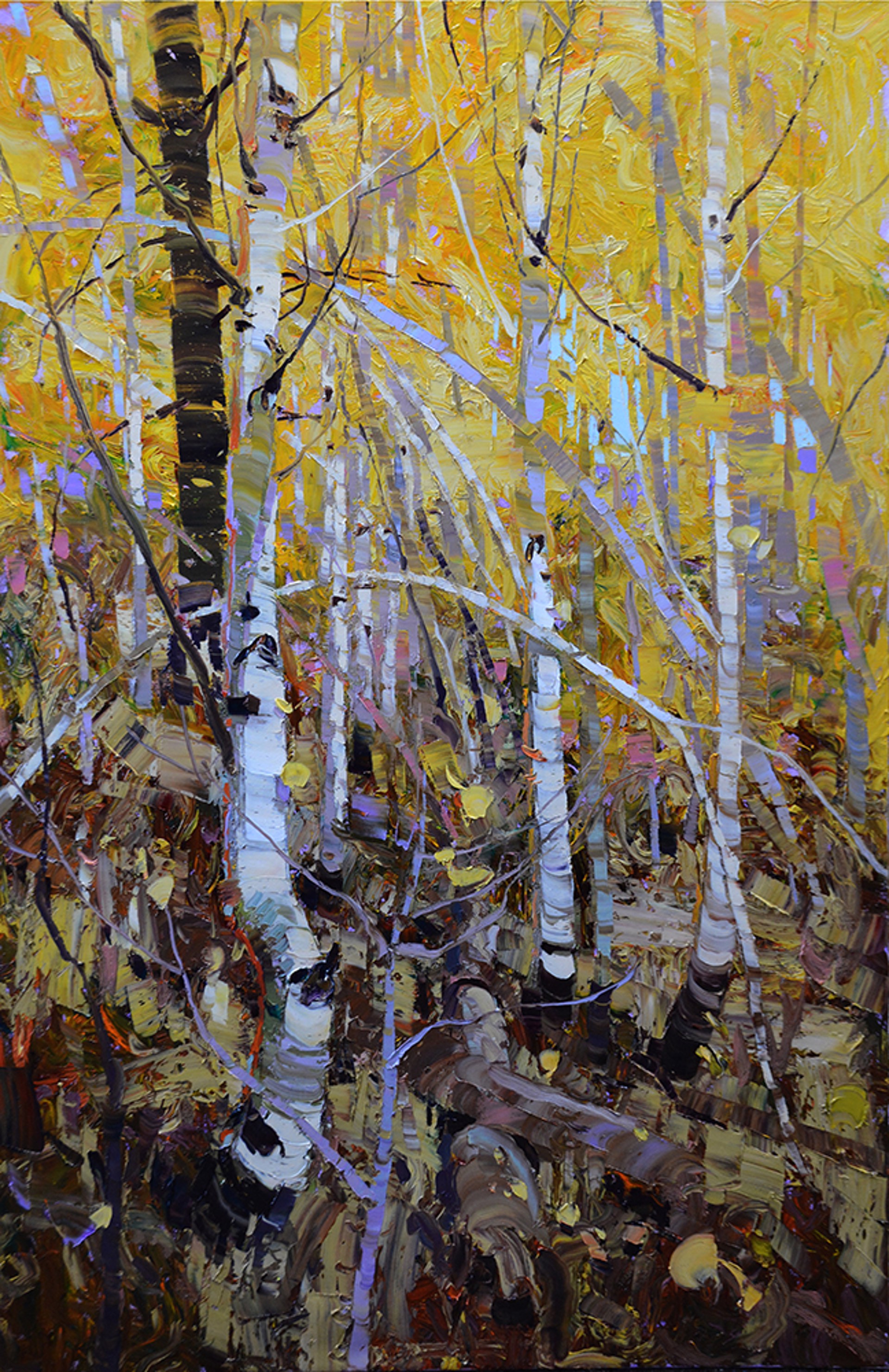 A Painting Of Yellow Aspen Trees In The Fall With White Bark And Dark Forest Floor, By Silas Thompson