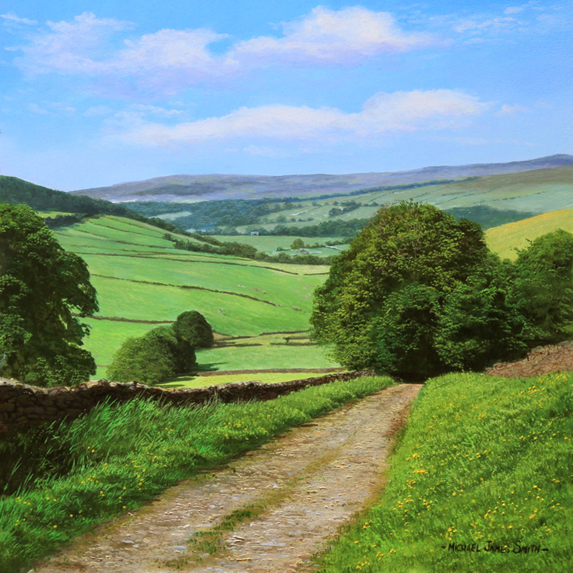 Summer in Derbyshire by Michael James Smith