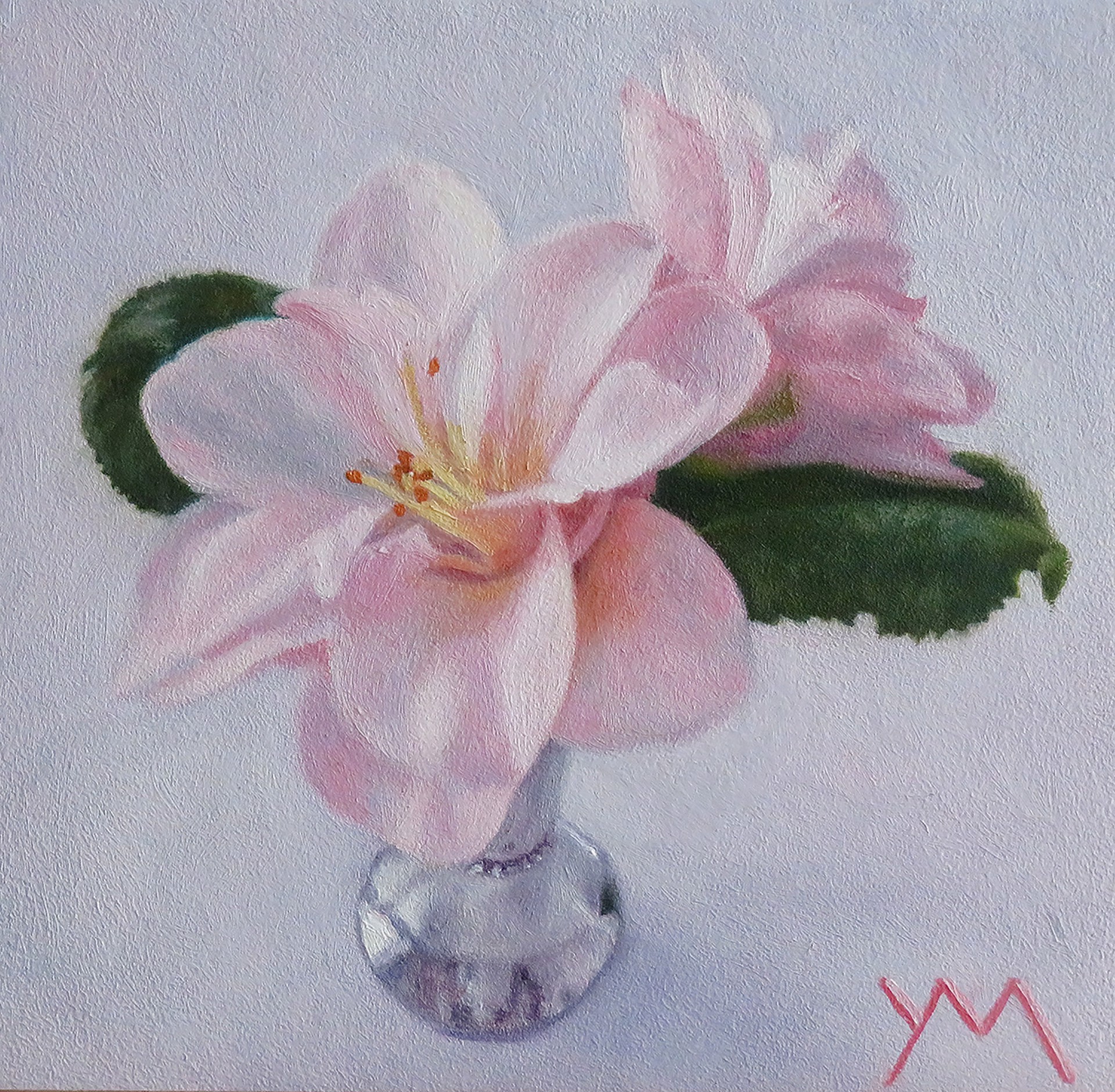 Camelia's from my Garden by Yvonne Melchers