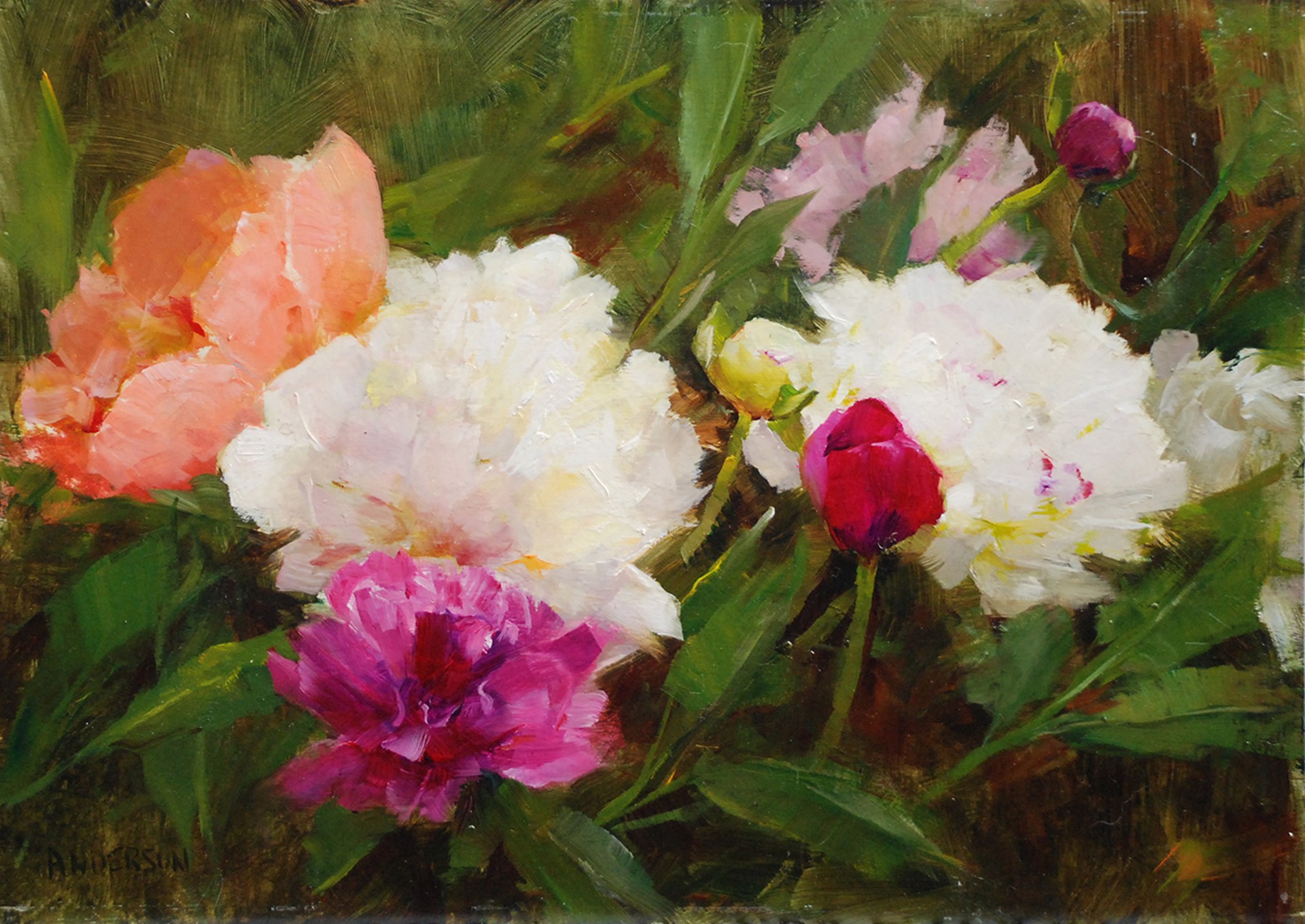 Peony Colors by Kathy Anderson