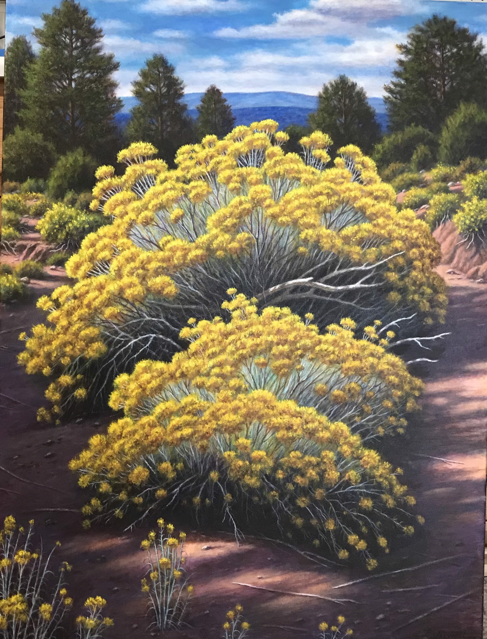 Chamisa Afternoon by Bo Newell
