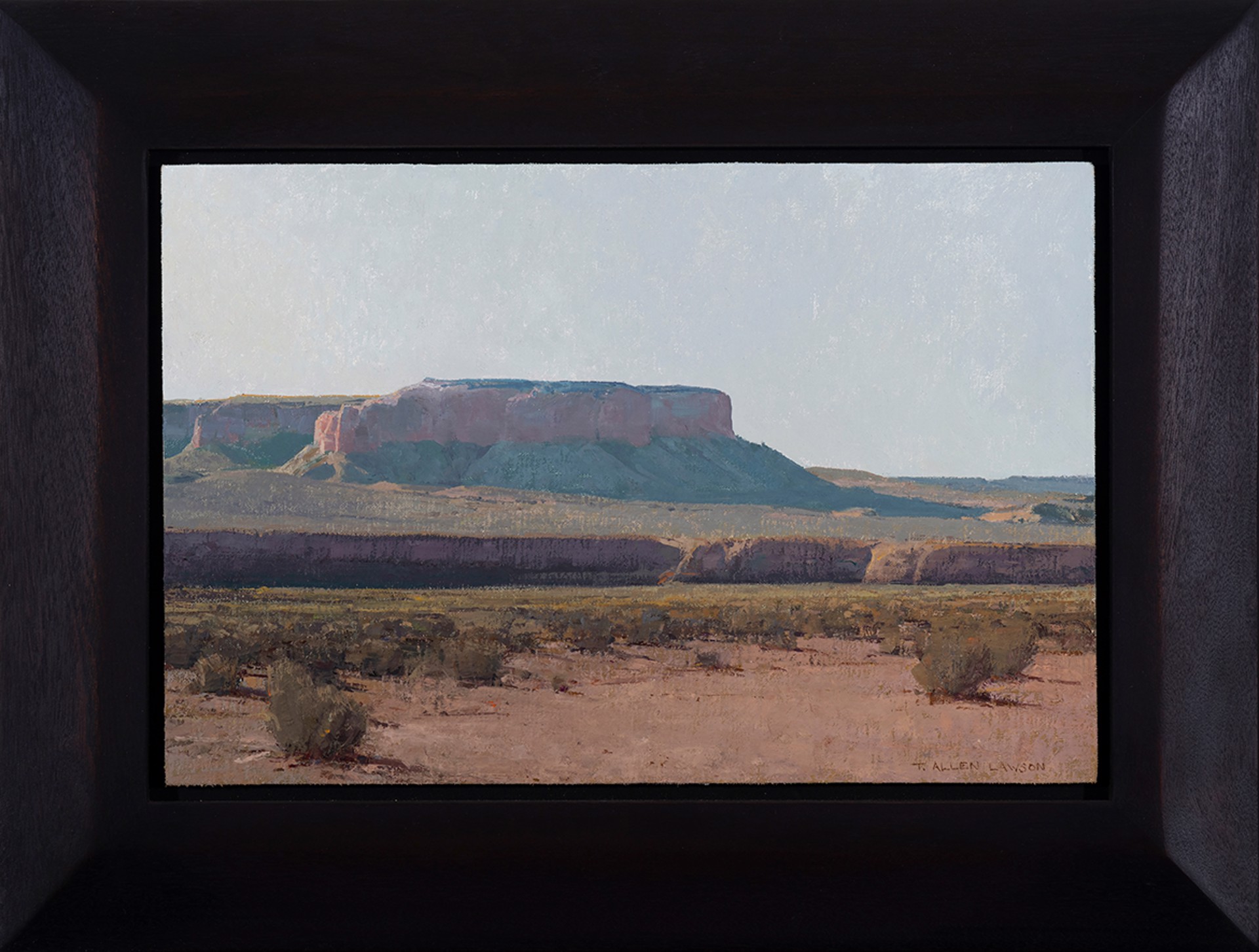 Desert Air by T. Allen Lawson