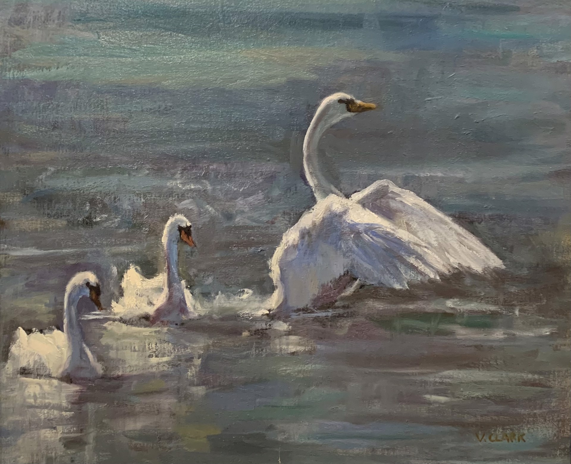 Swans by Veronica Clark