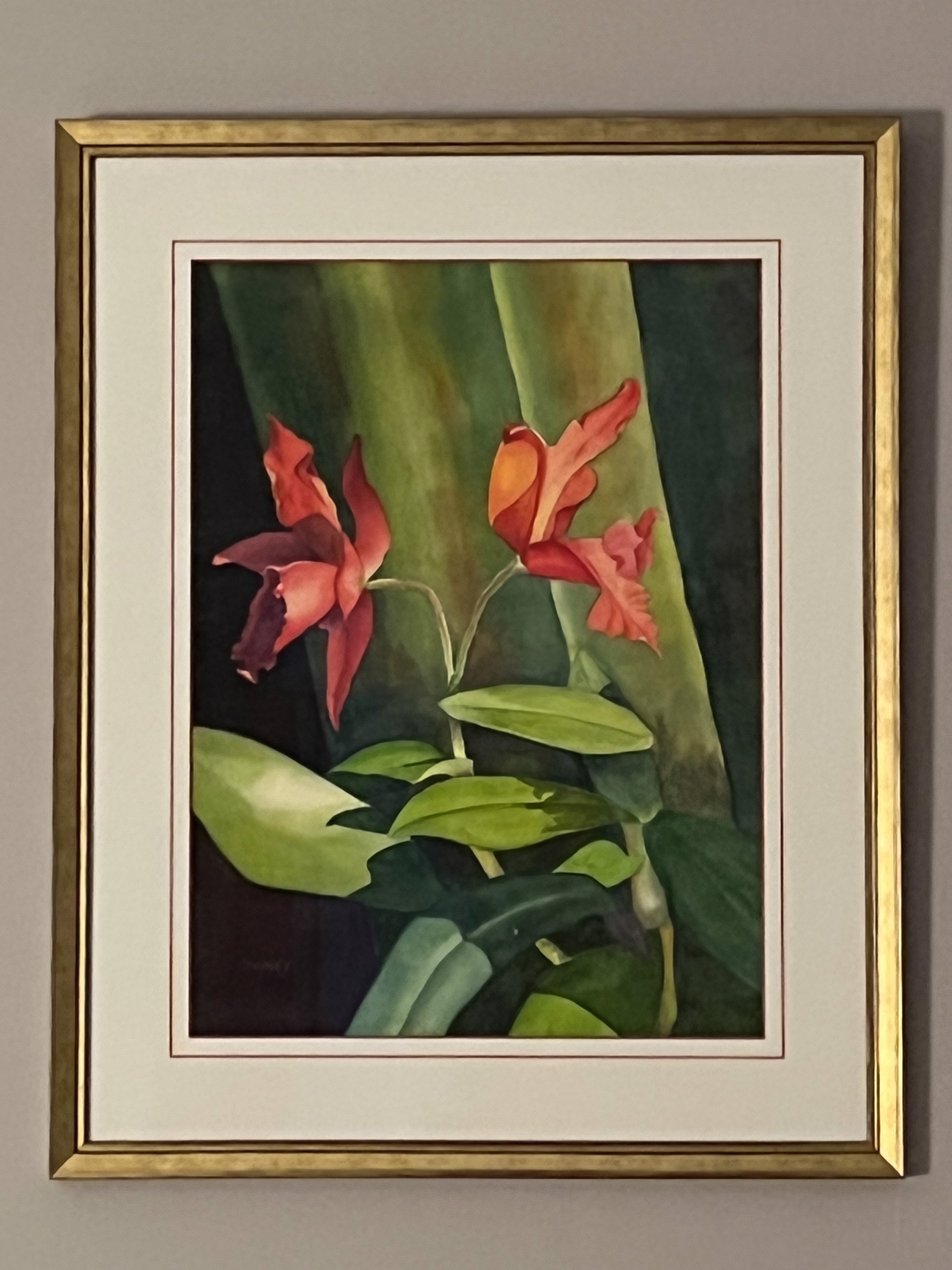 Red Cattleya by Cindy Kinney