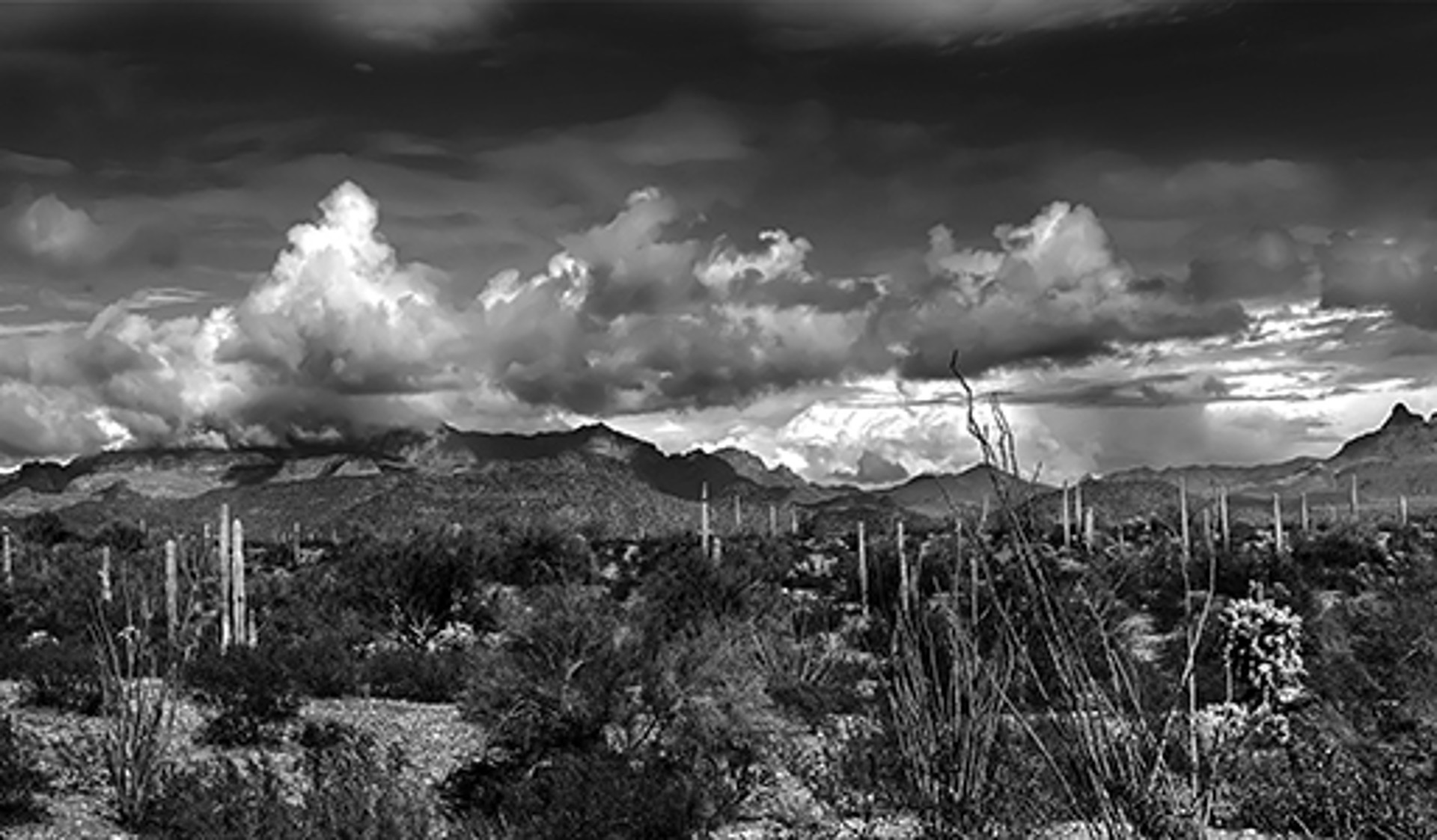 Clearing Winter Storm in the Ajo Mountain Range by Lance Bell
