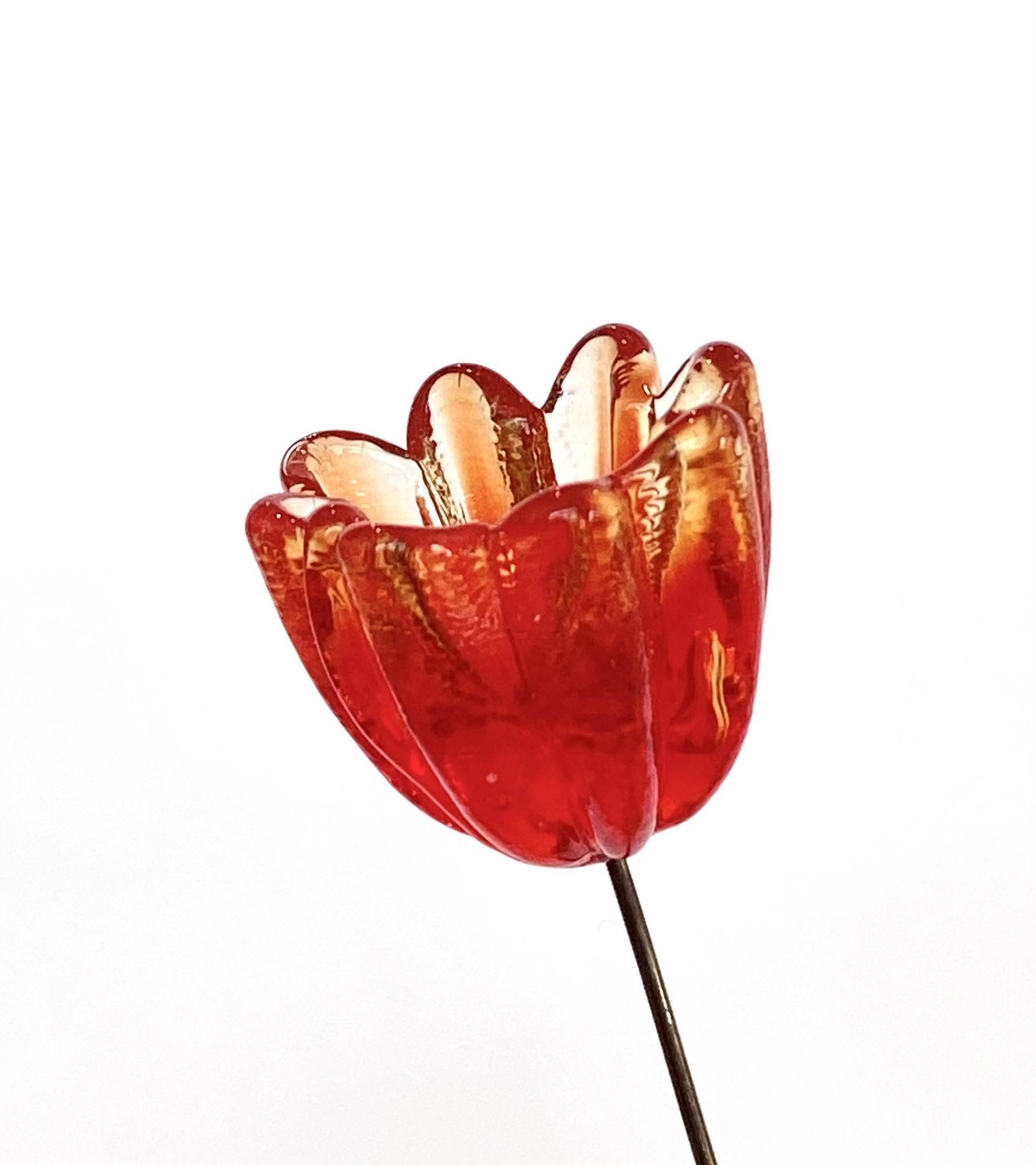 Glass Red Bud Flower by Emelie Hebert