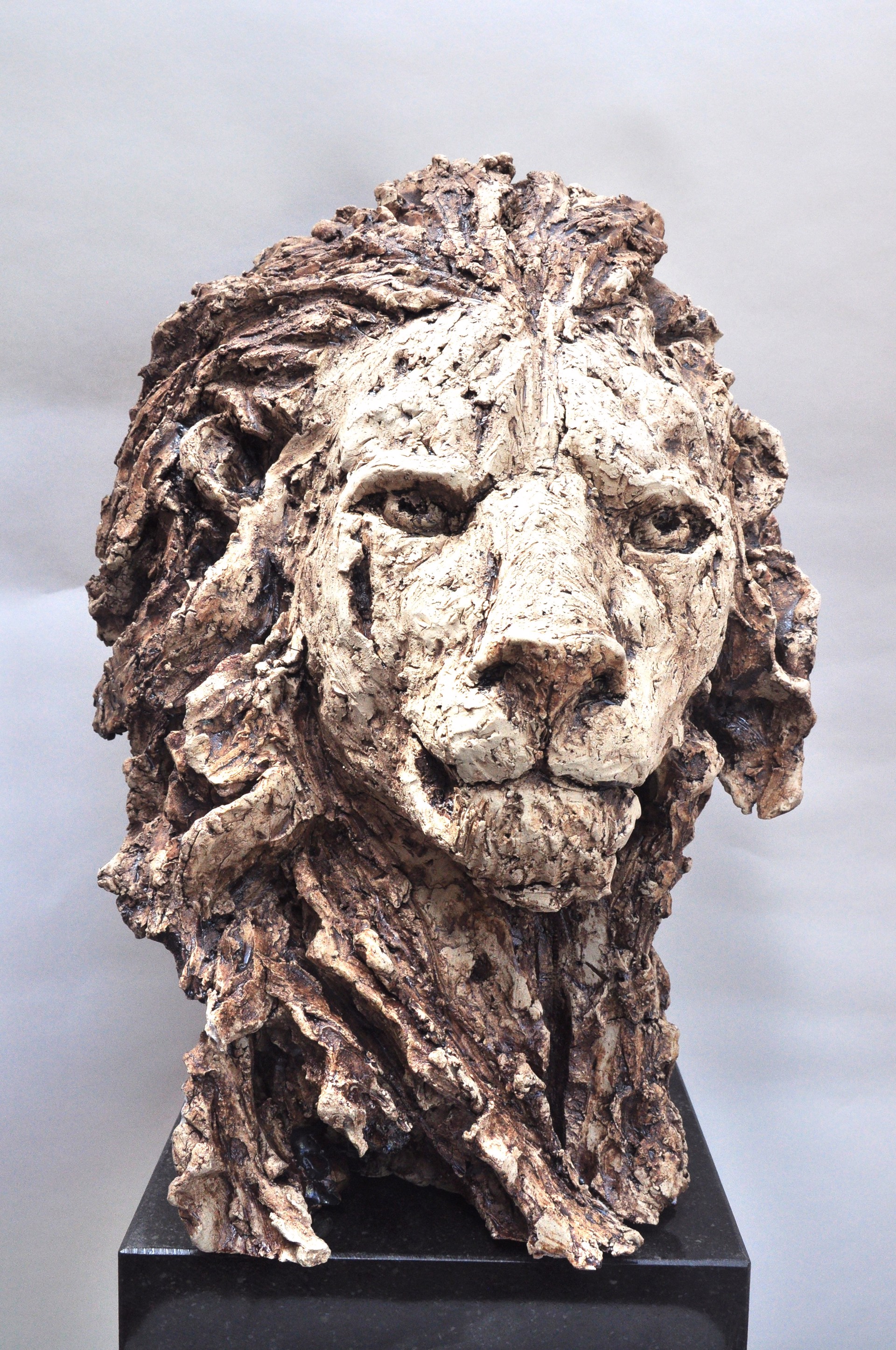 Lion by Rudy Dewaele