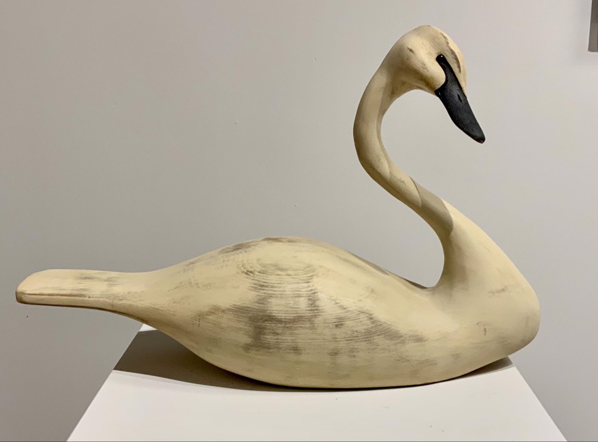 Swan by Bernard Edwards