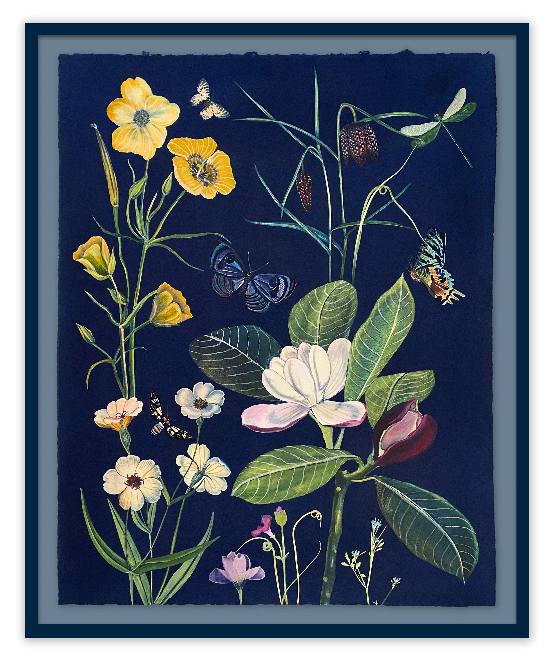 Cyanotype Painting (Magnolia, Buttercups, Fritillaria, Pollinators, etc) by Julia Whitney Barnes
