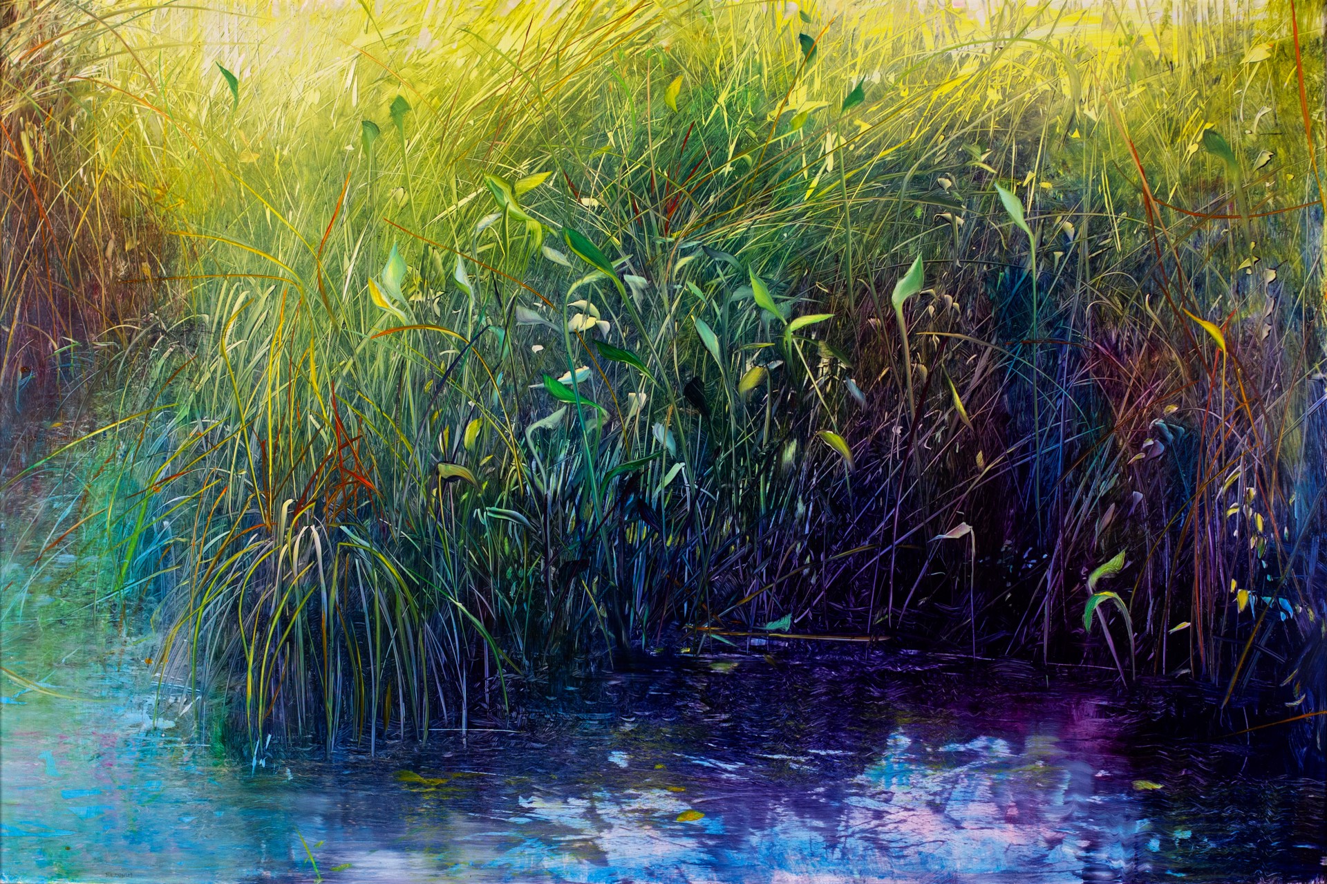 Pond Life by David Allen Dunlop