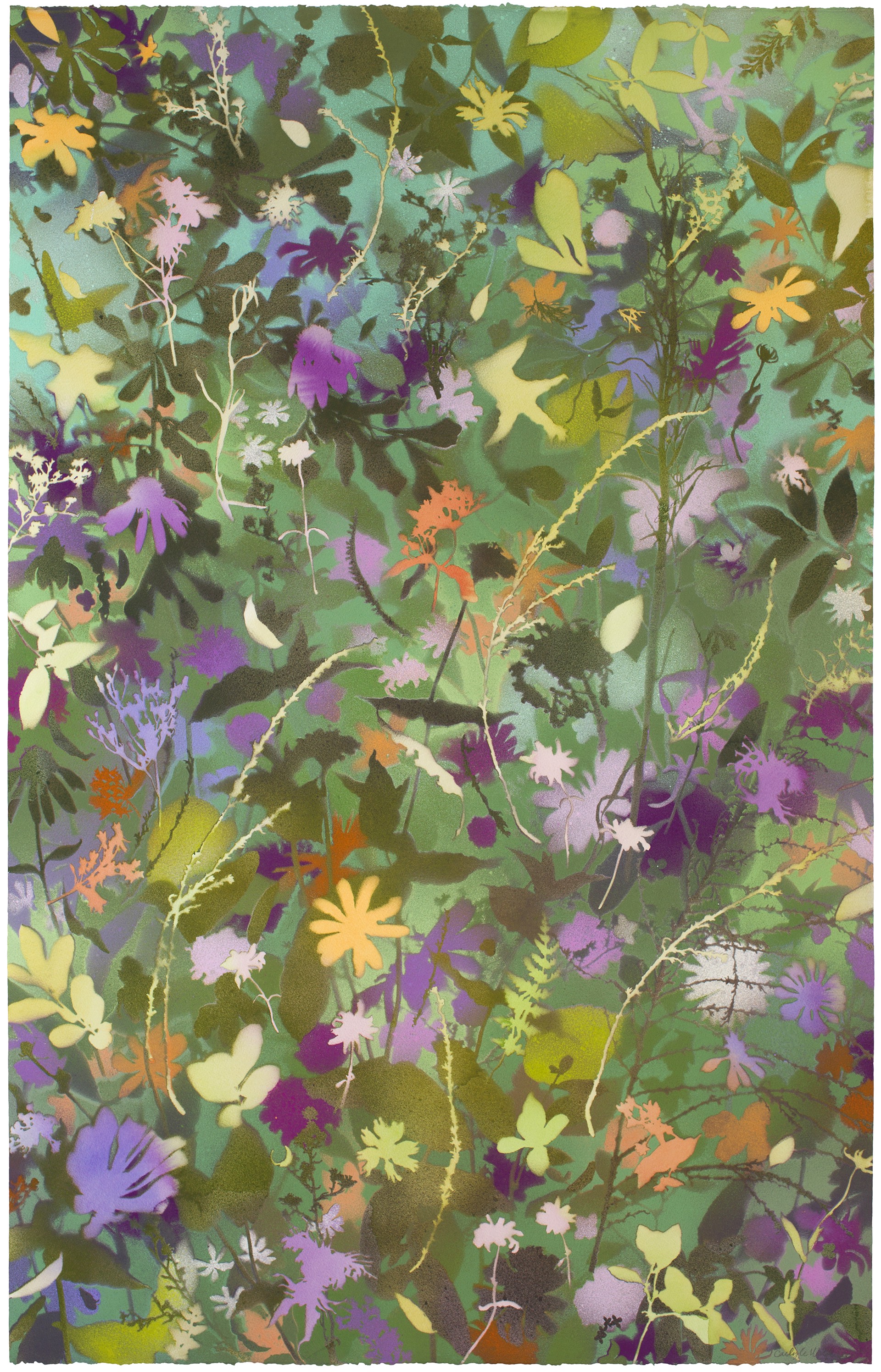 Anniversary Wildflowers I by Carlyle Wolfe Lee