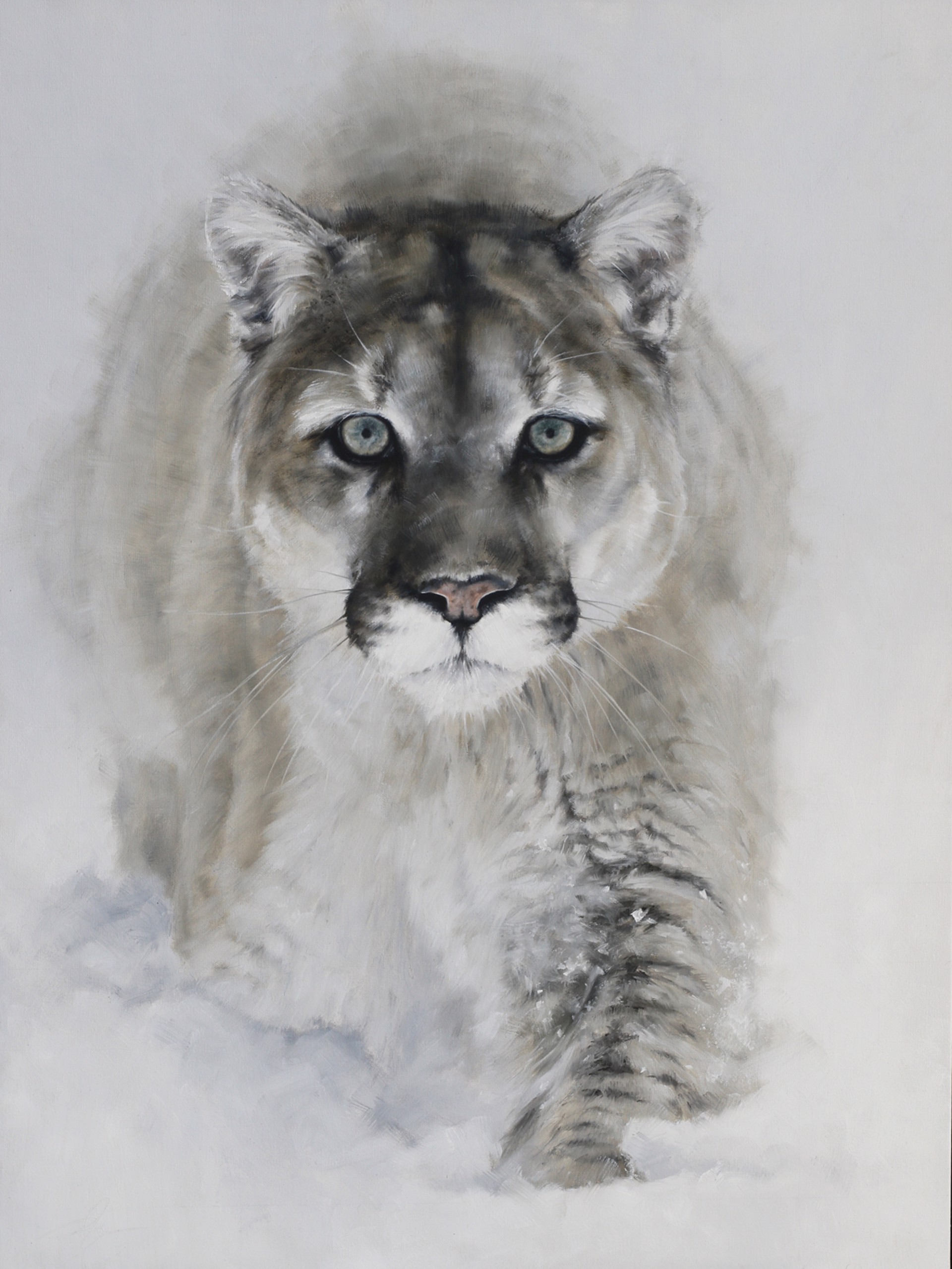 Original Contemporary Oil Painting Of A Cougar Walking Towards The Viewer In Black And White, By Doyle Hostetler