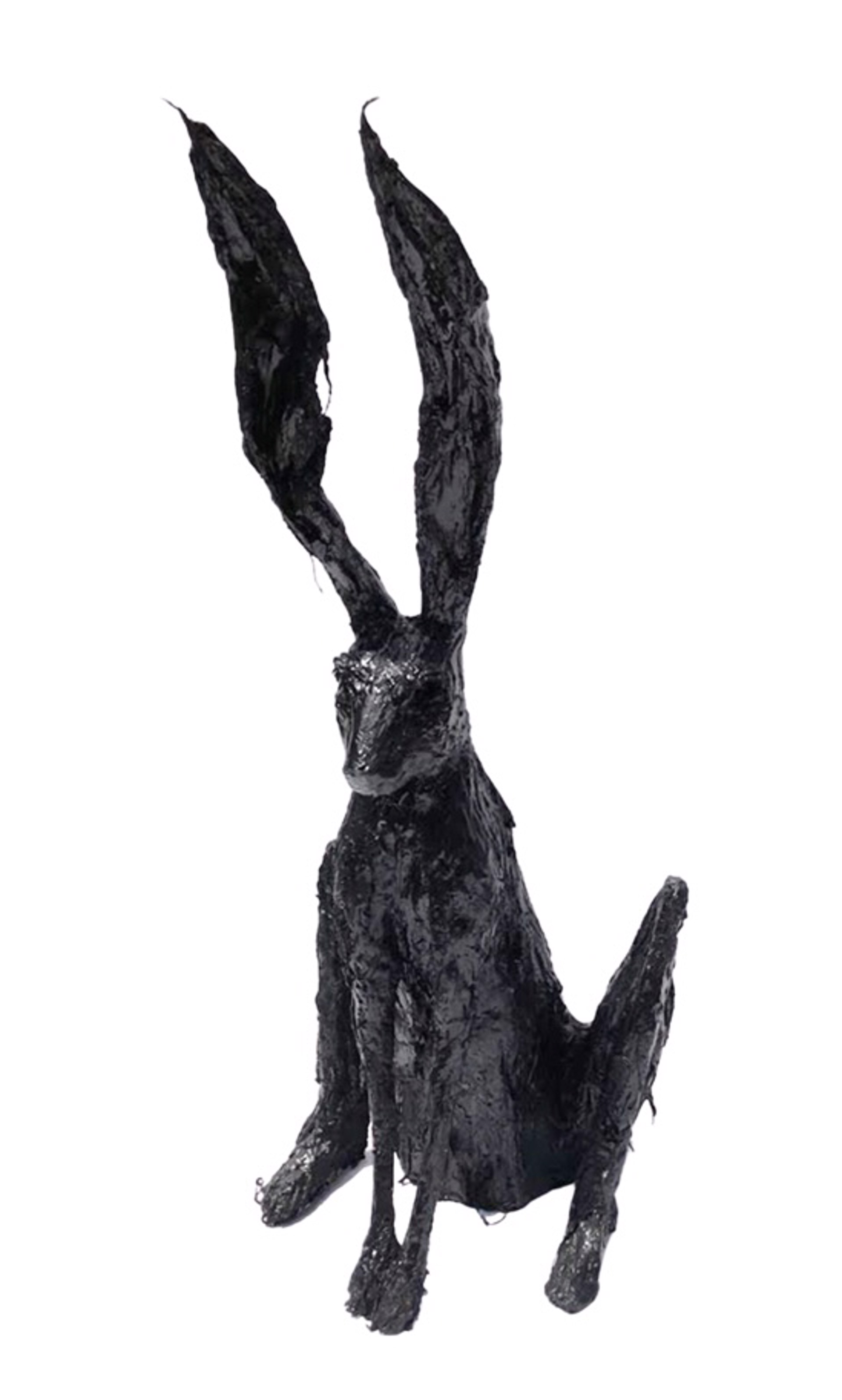 Night Hare II by Rachel Gardner