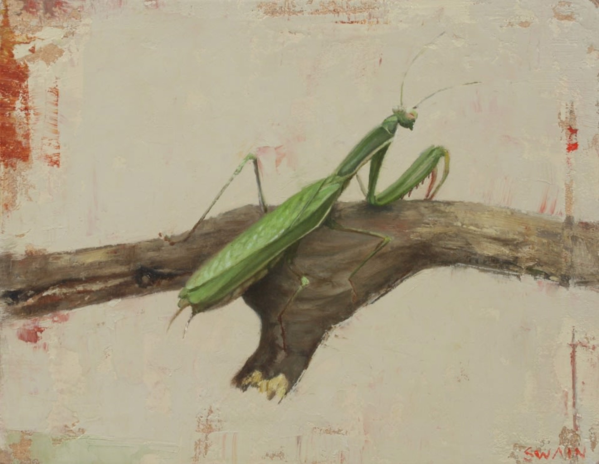 Green Mantis by Tyler Swain