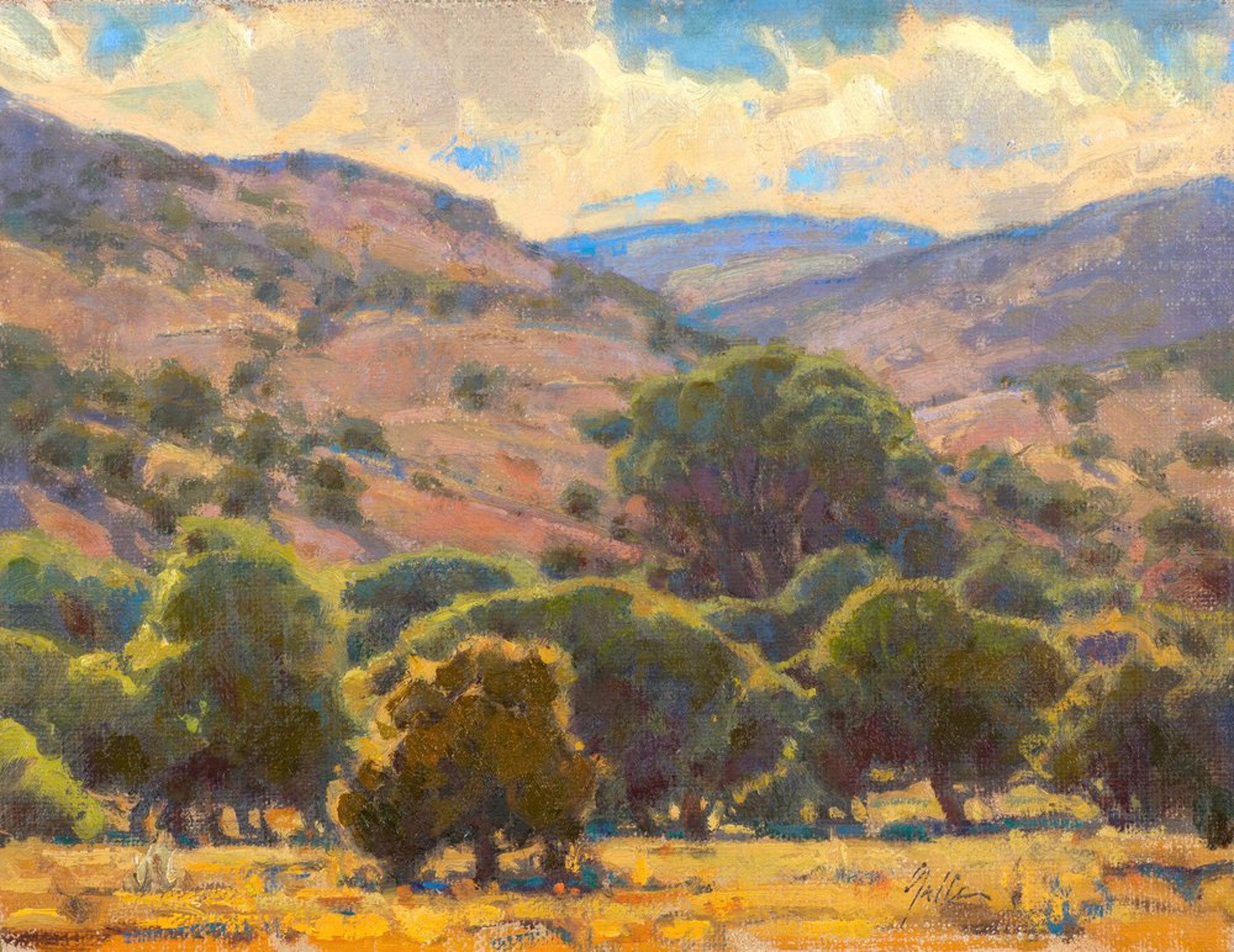 Arid Hills by Bill Gallen