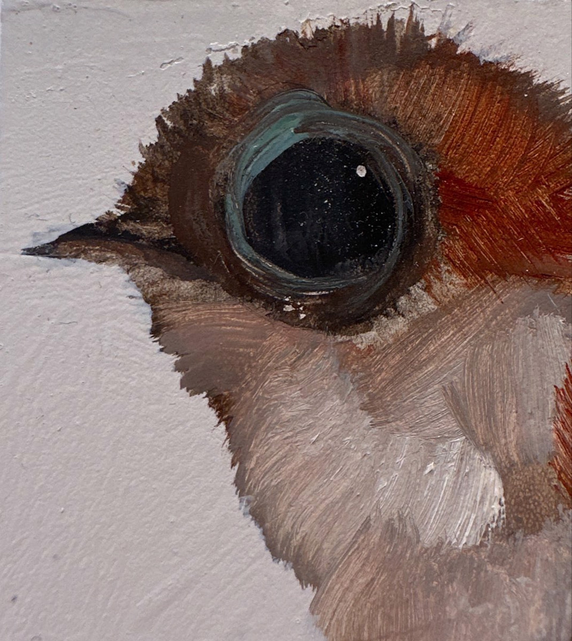 Bird Block (small blue eye) by Diane Kilgore Condon