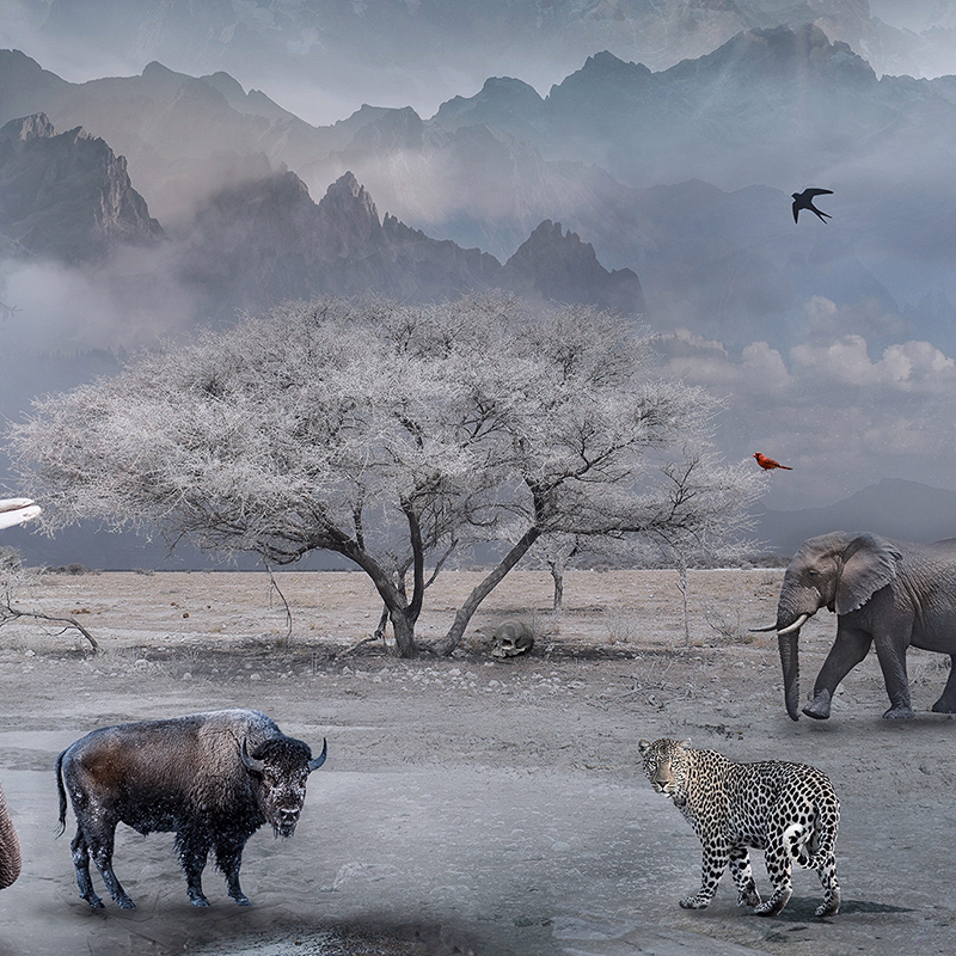 The Last Drop of Water by Marcin Owczarek