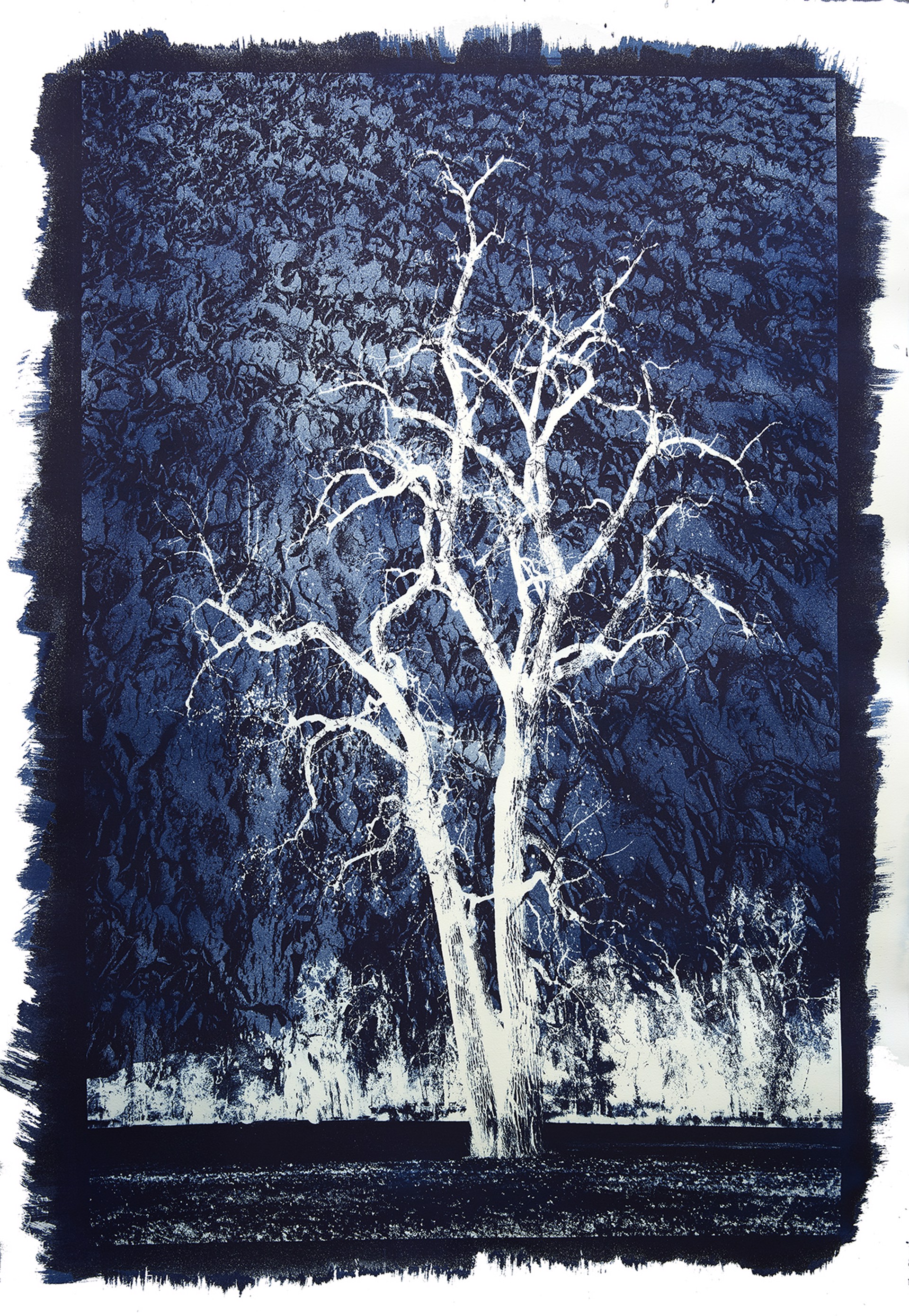 Cyanotype #60 by Michael Eastman