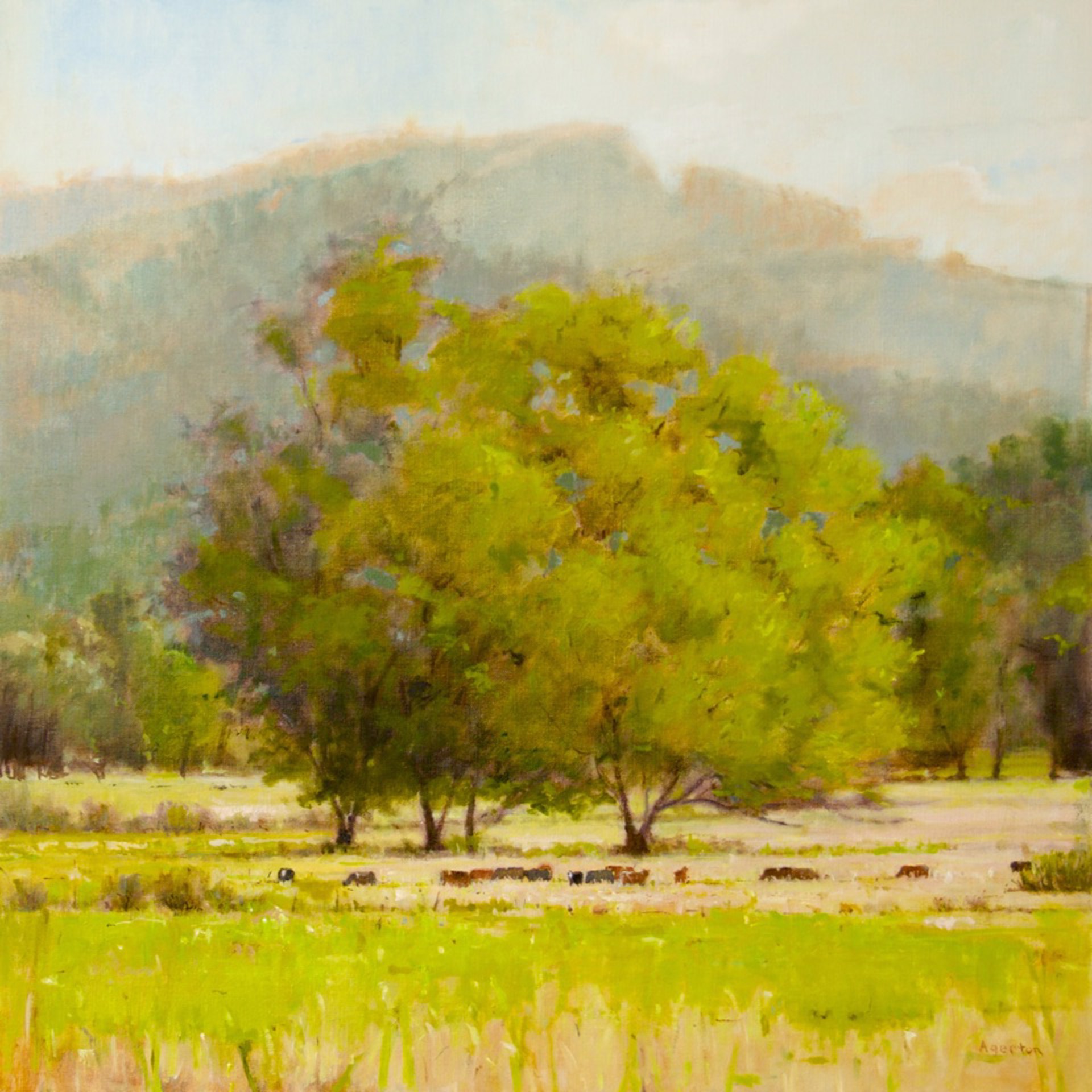 Color Harmony by Mallory Agerton