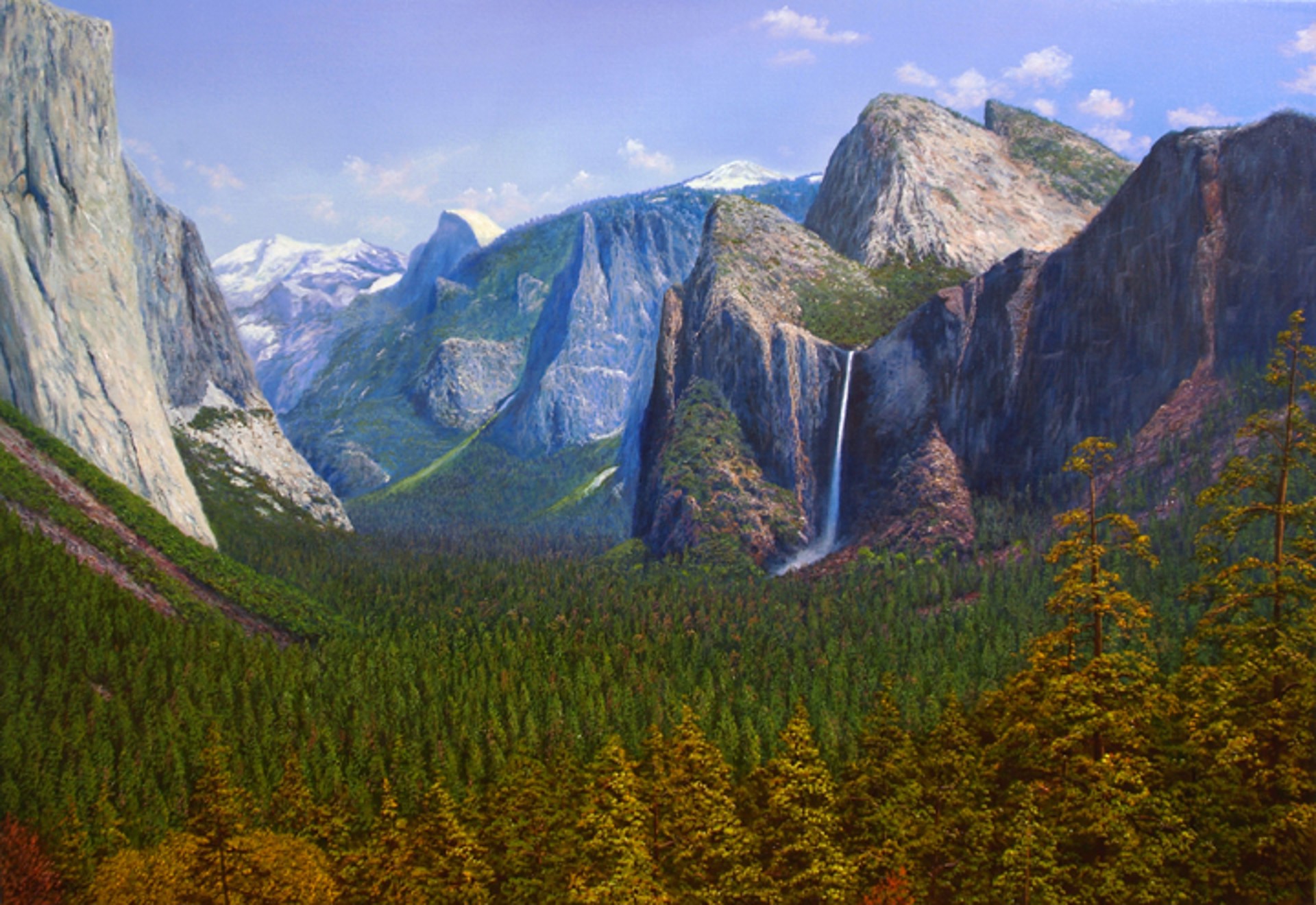 Yosemite Park by David Smith