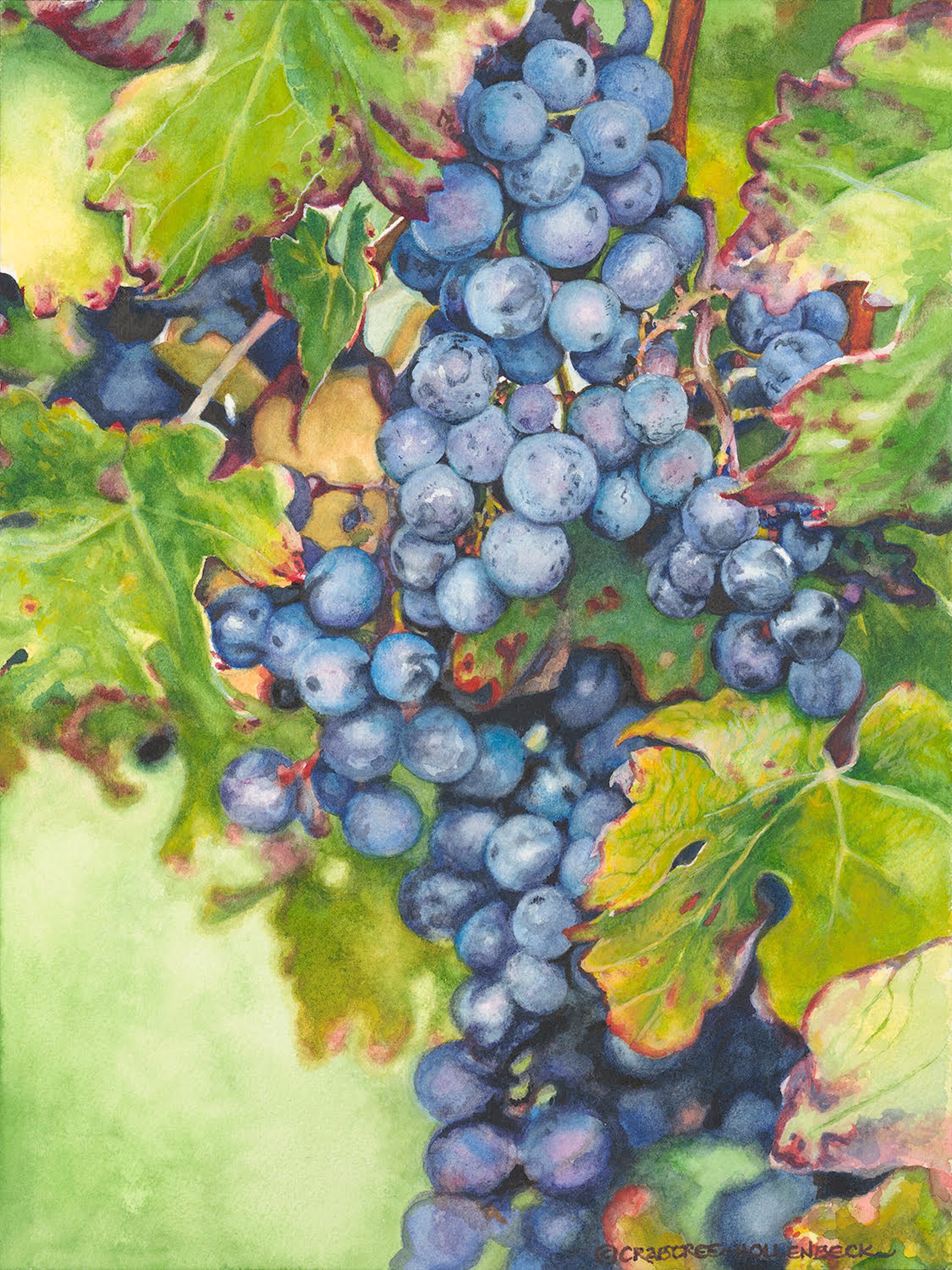 Laura Hollenbeck | Love Among The Vines by Modales Nouveau Contest 2023