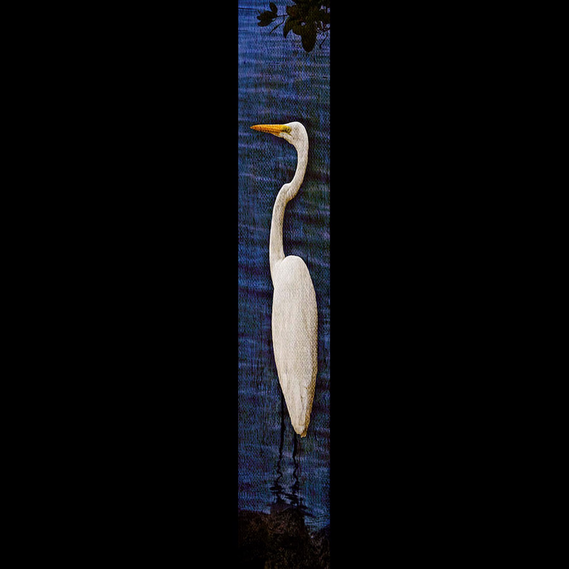 Solo Egret-Violet w/Gold Frame by Bob Coates