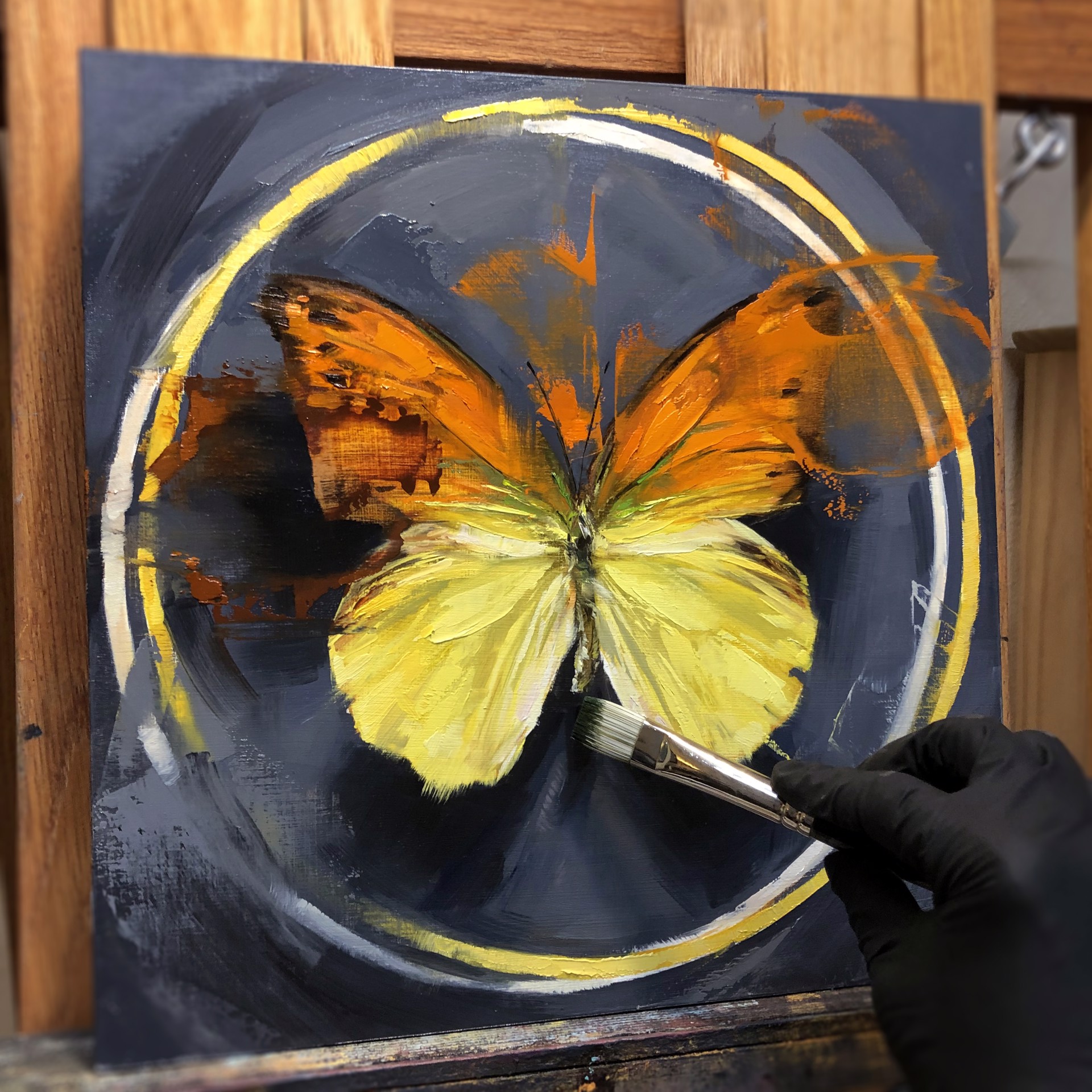 The Vibrant  Sulphur Butterfly by Lindsey Kustusch