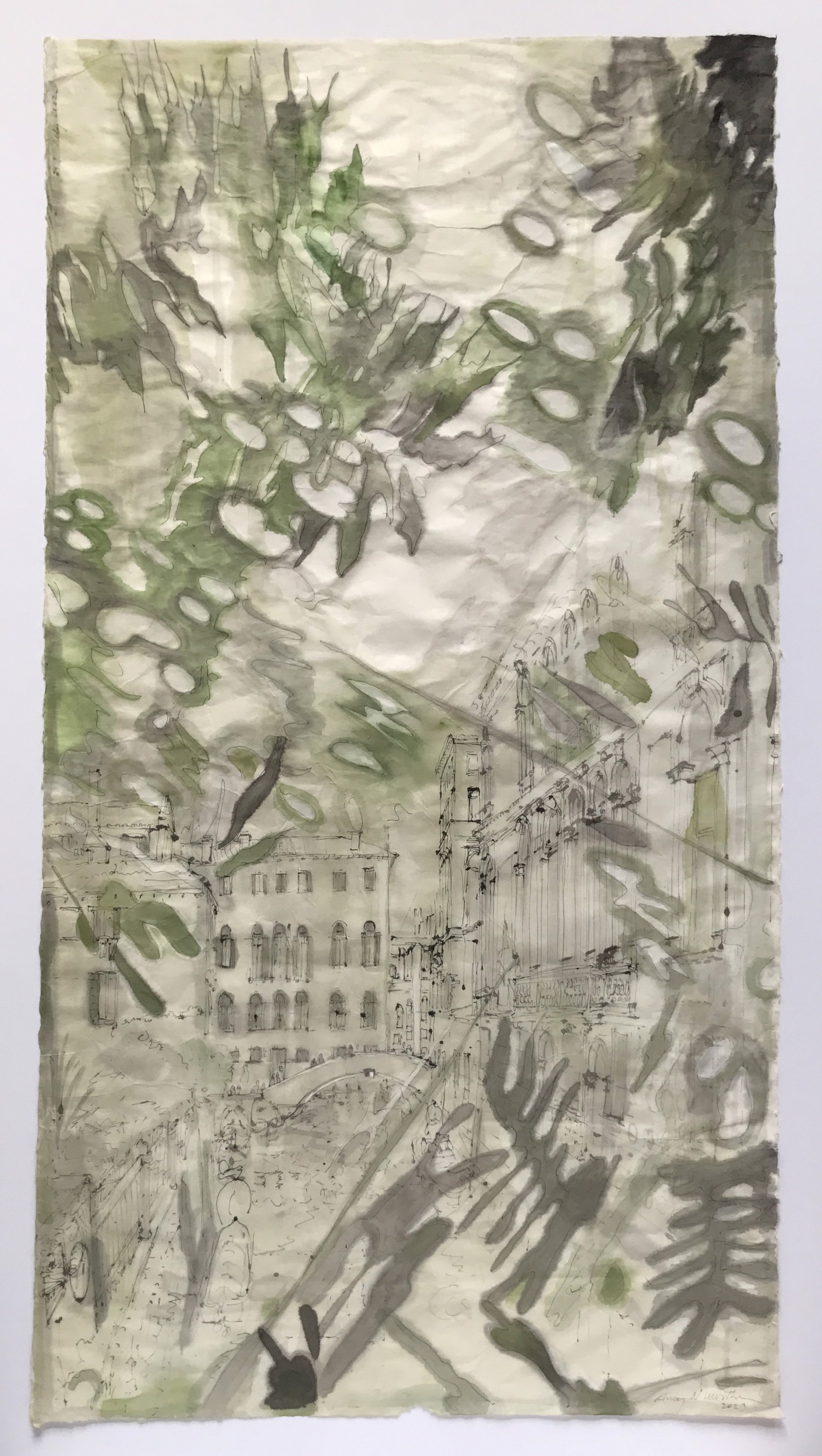 My Wisteria, Venice, 2022 and 2023: Summer. Shadows and sunlight. View from my terrace looking towards Palazzo Zane Collalto, Ponte sant’Agostin, and Palazzo Morosini degli Spezieri (W. japonica floribunda macrobotrys) by Amy Worthen