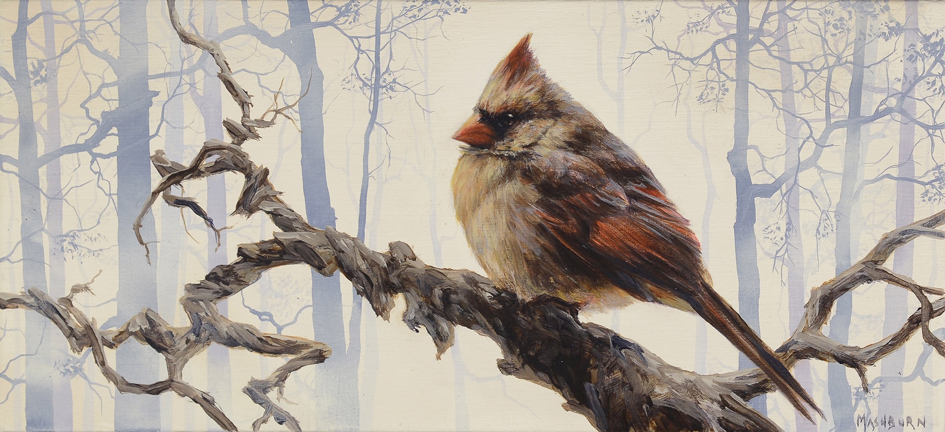 Cardinal in Winter by Brian Mashburn