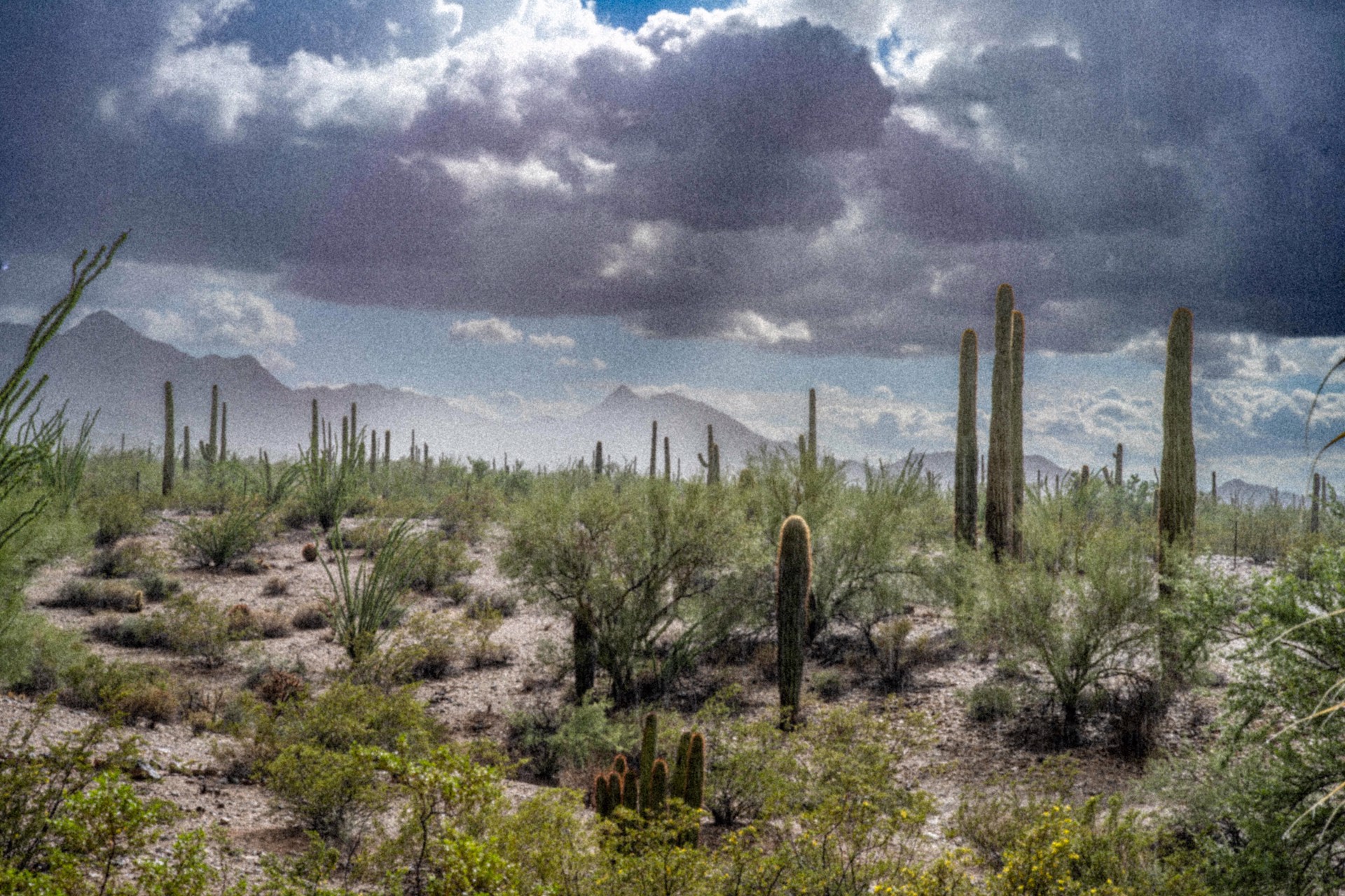 Monsoon Clouds over Desert by JB Gillett
