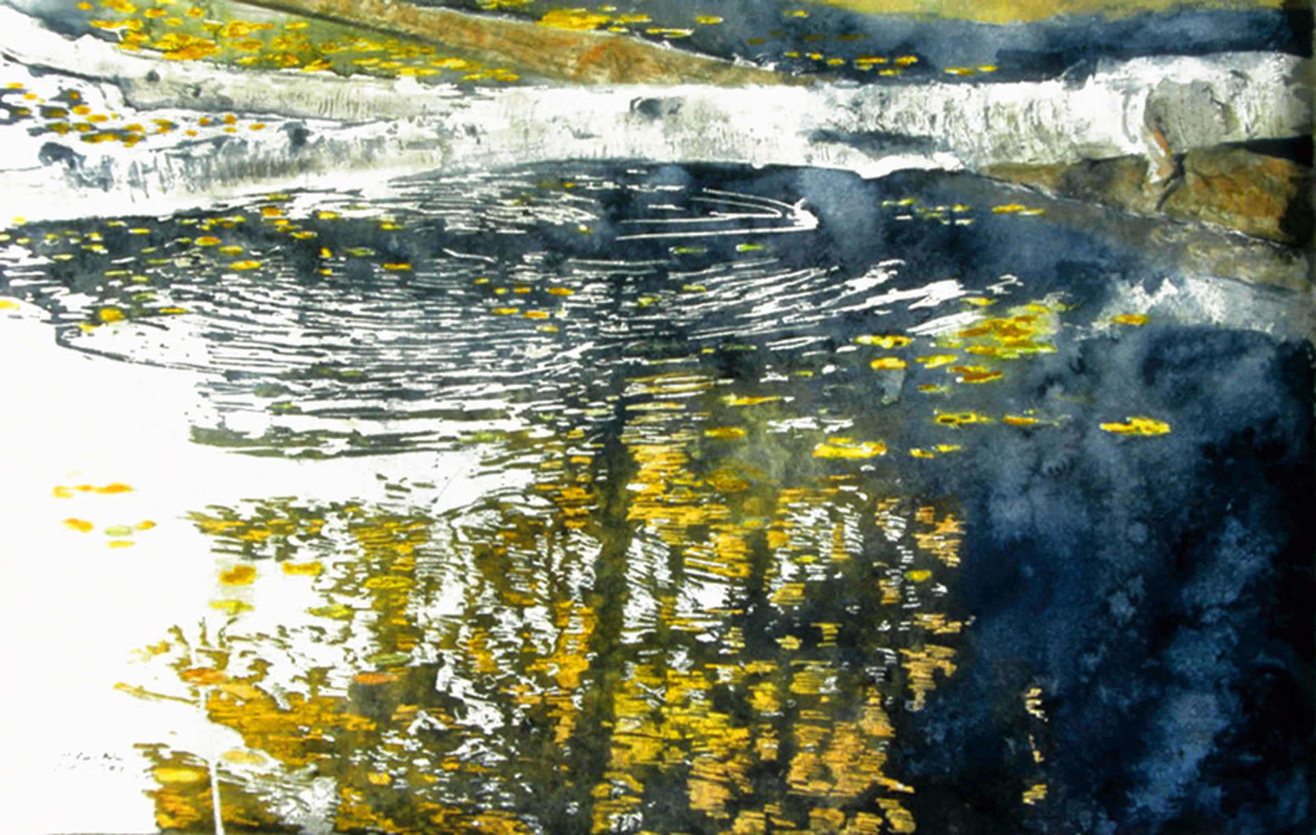 Birches Across the Pond by Michael Zarowsky