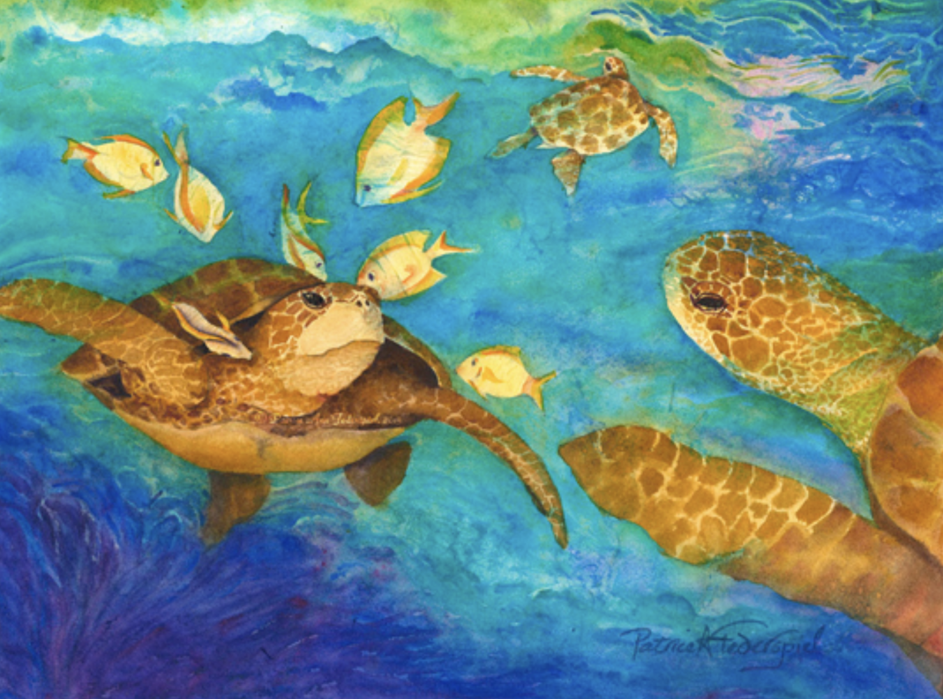 At the Turtle Cleaning Station by Patrice Ann Federspiel