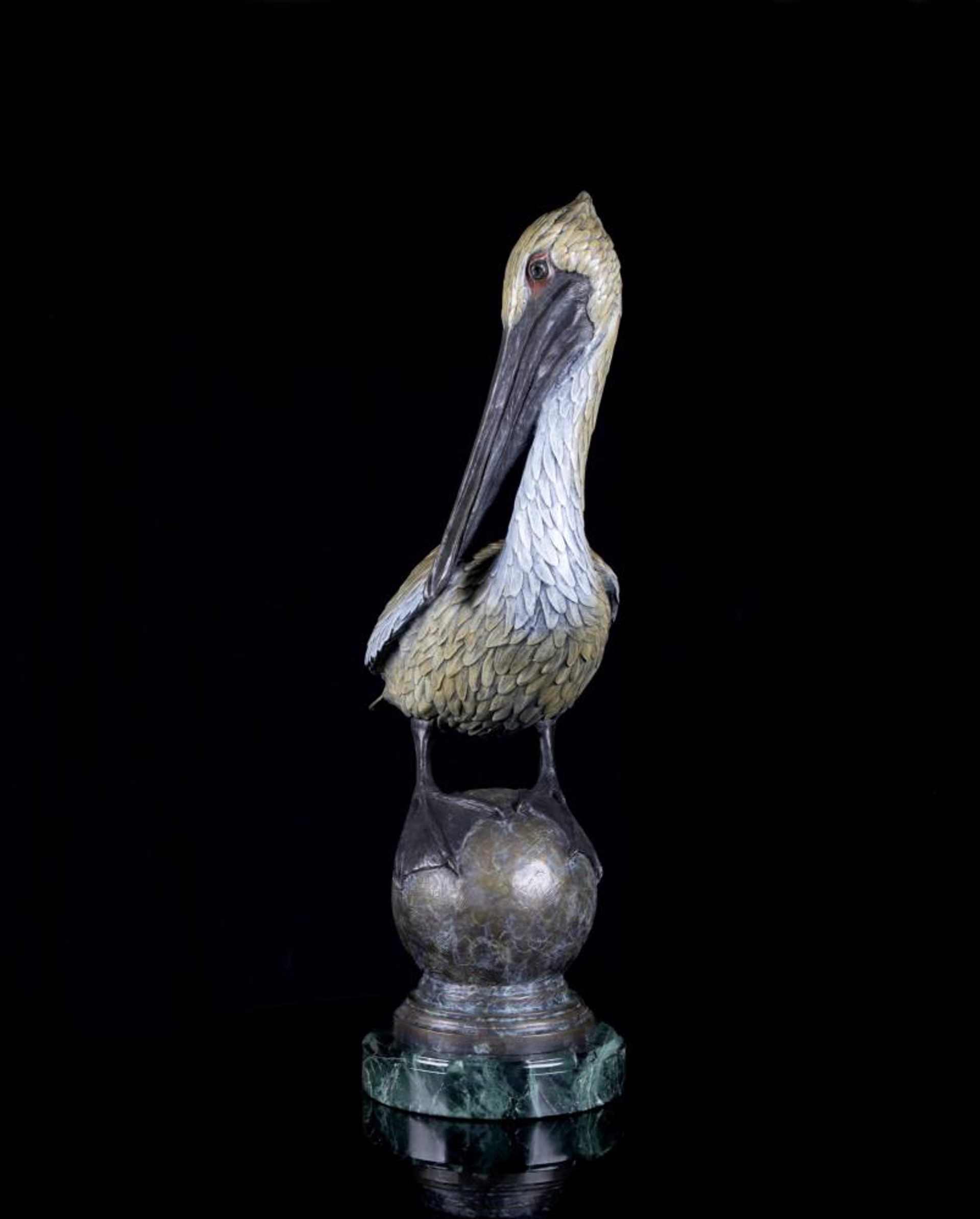 Small World Pelican by Geoffrey C. Smith