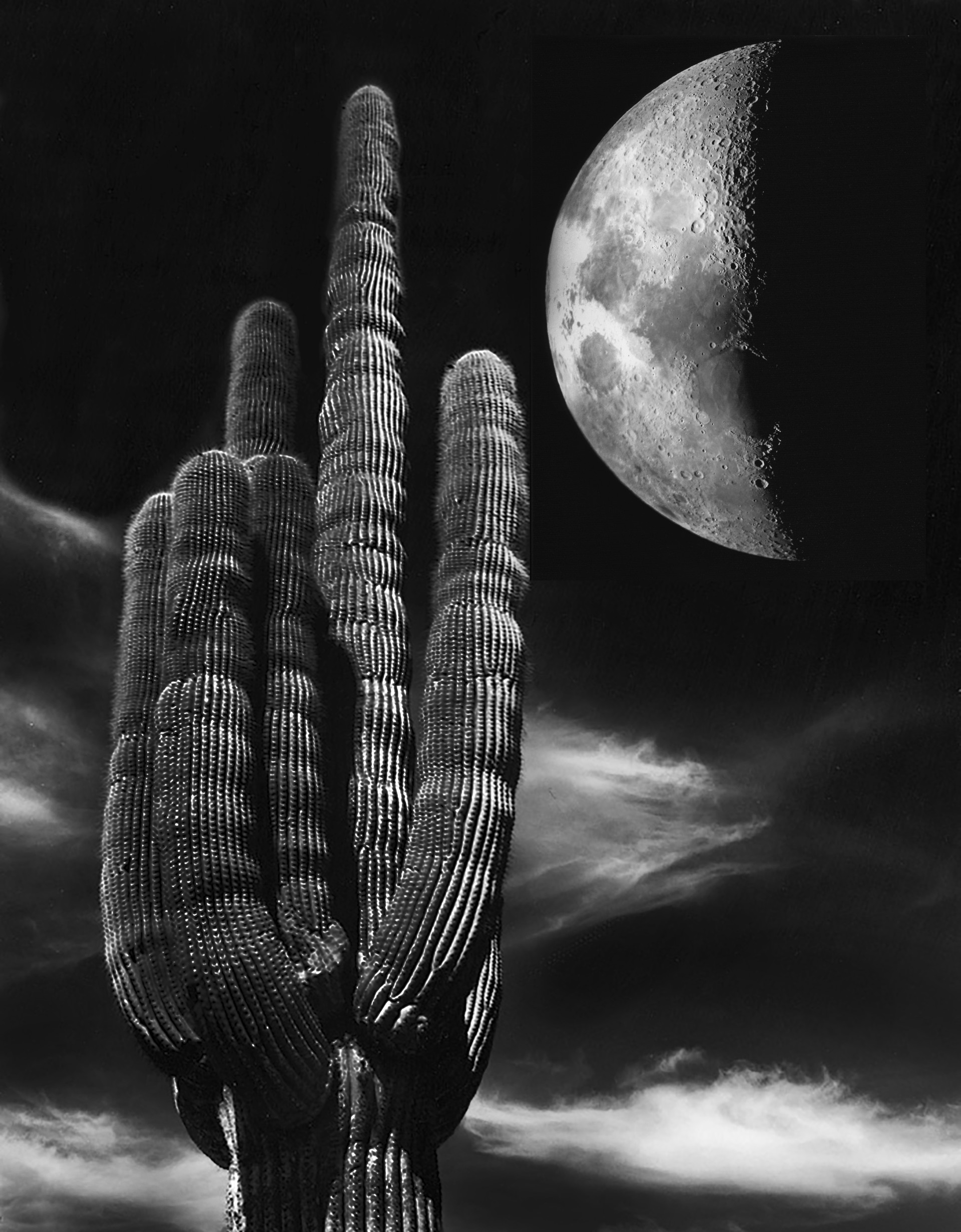 Saguaro and half Moon by Lance Bell