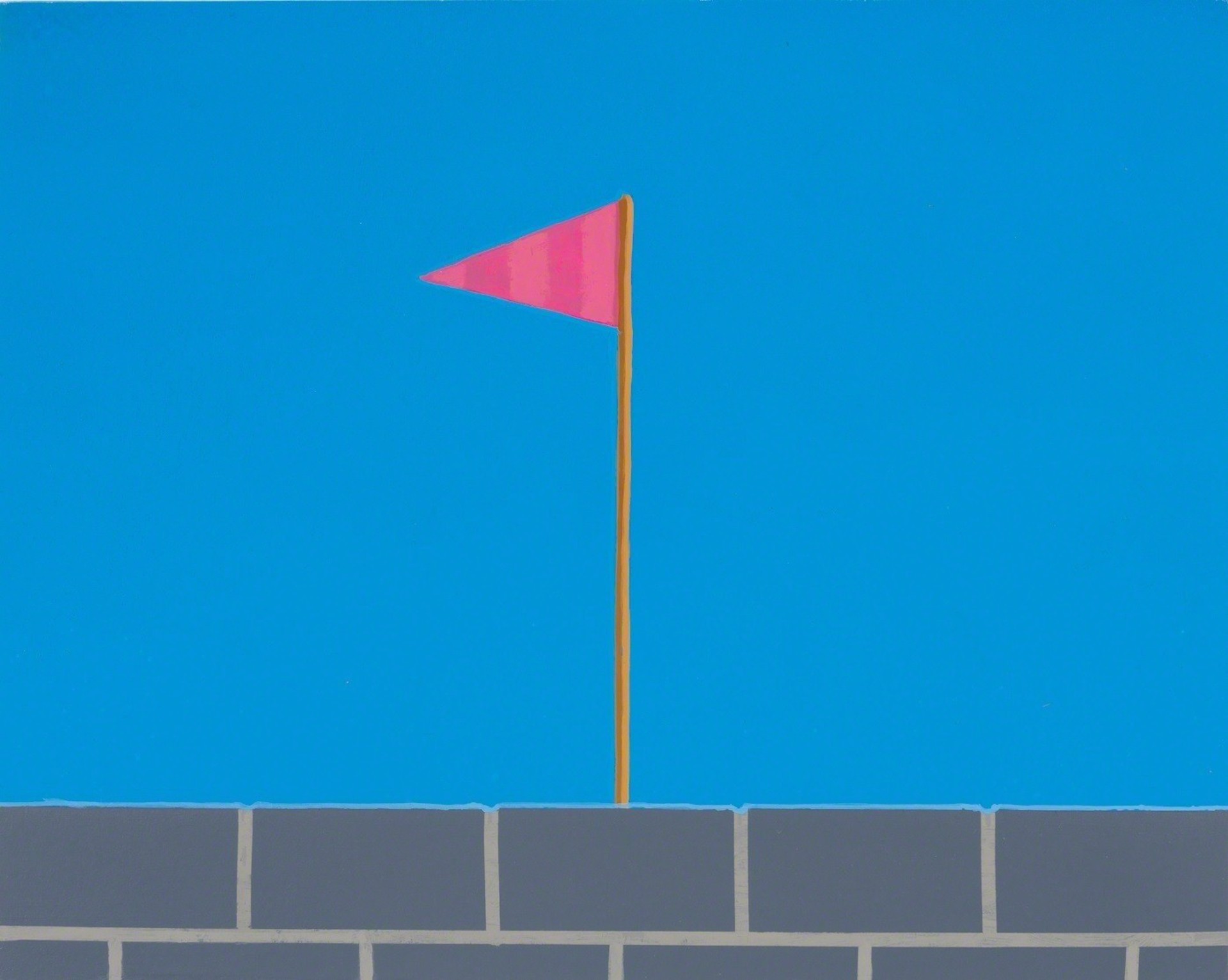 Pink Flag by Vonn Cummings Sumner