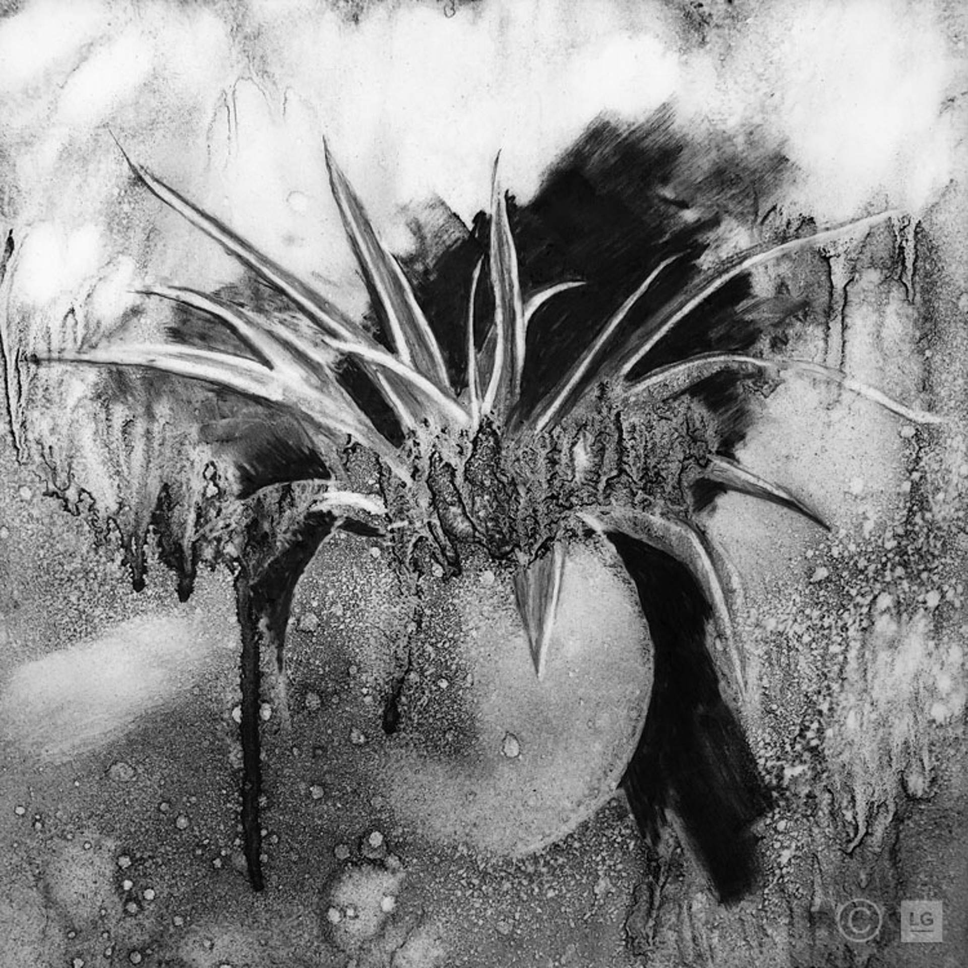 Plant II by Michael Rajnicek