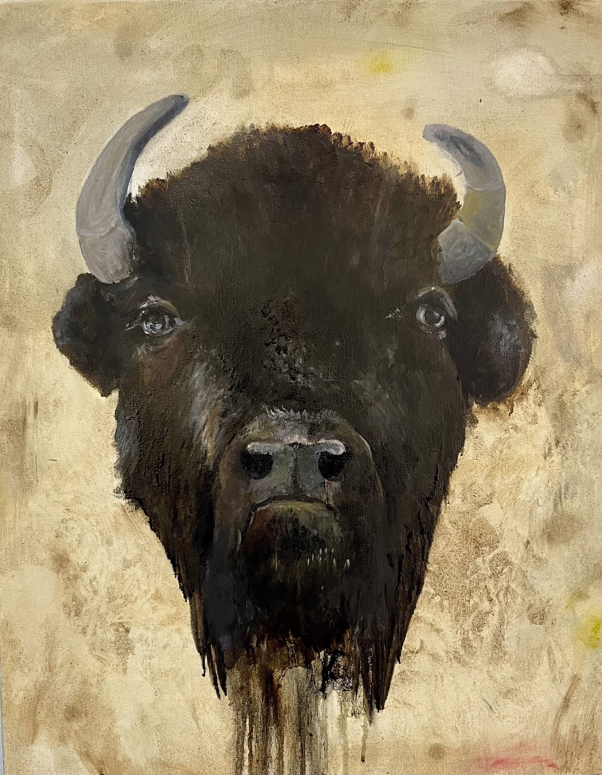 Bison 2 by Joe Broghammer