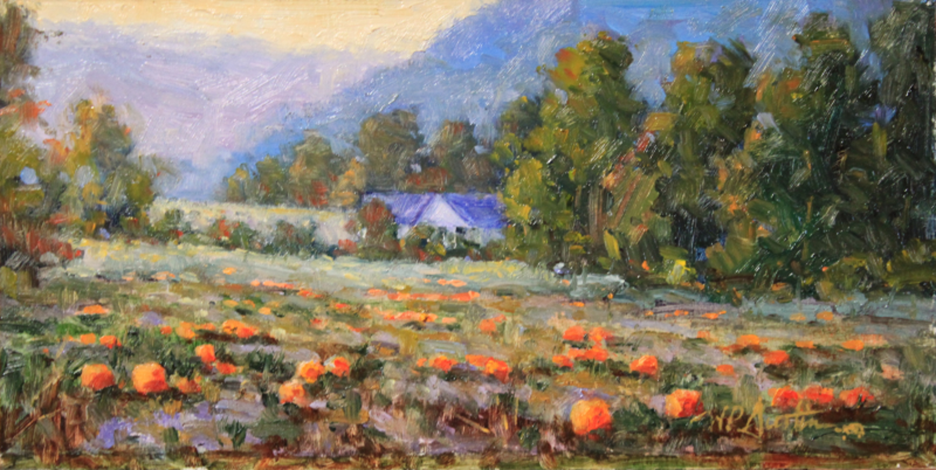 Pumpkin Patch by Perry Austin
